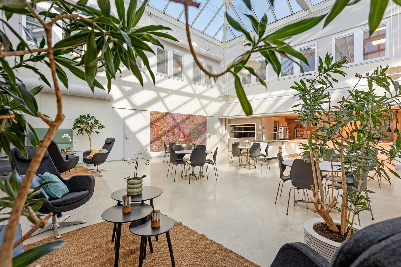 Felles sosial sone i byggets 2. etg. Galleribilde