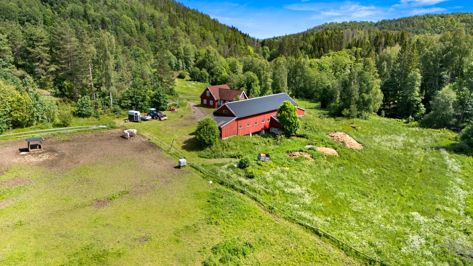 Beite ved stallen som er inngjerdet. Galleribilde
