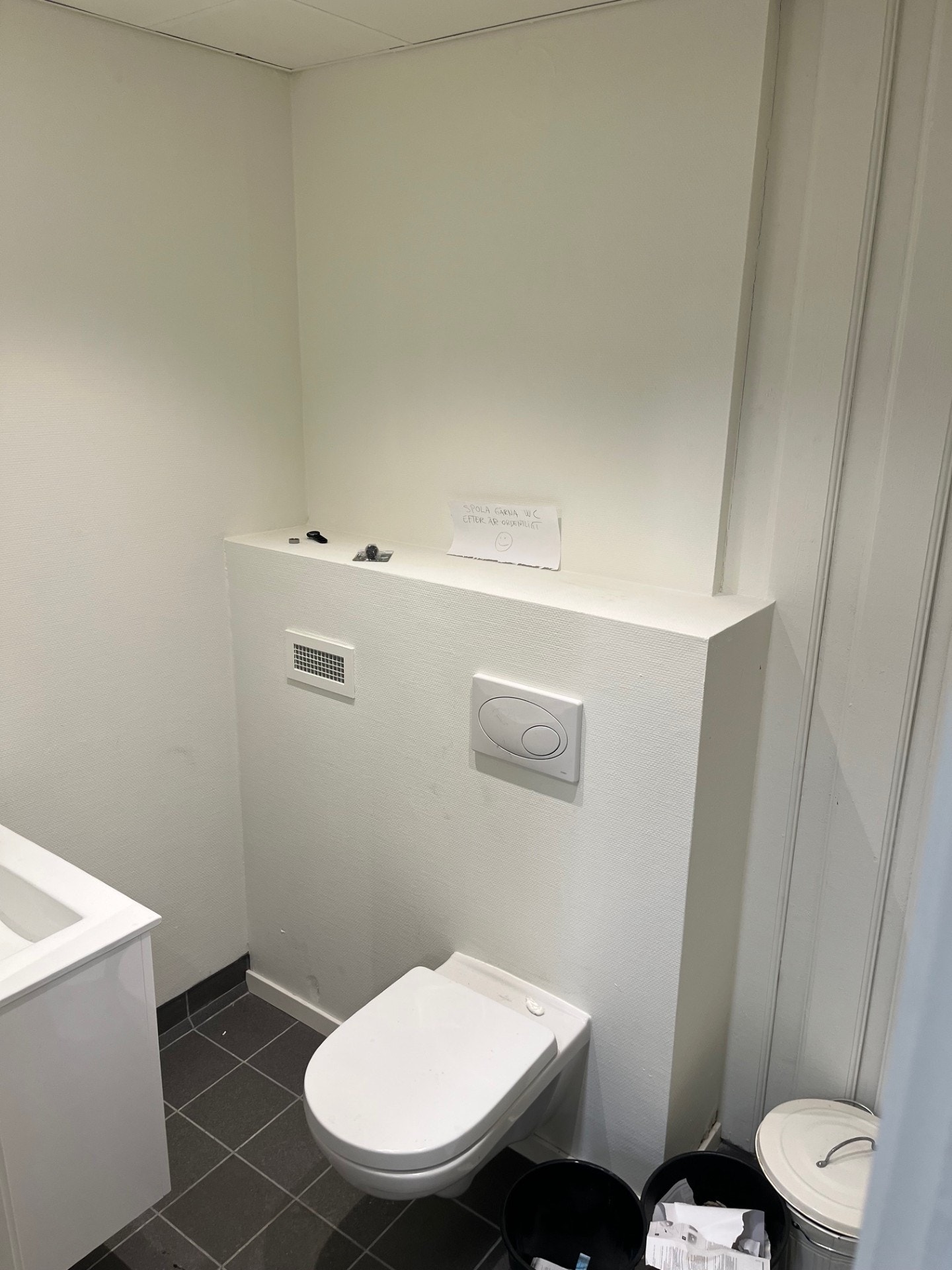 Toalett med vask Galleribilde