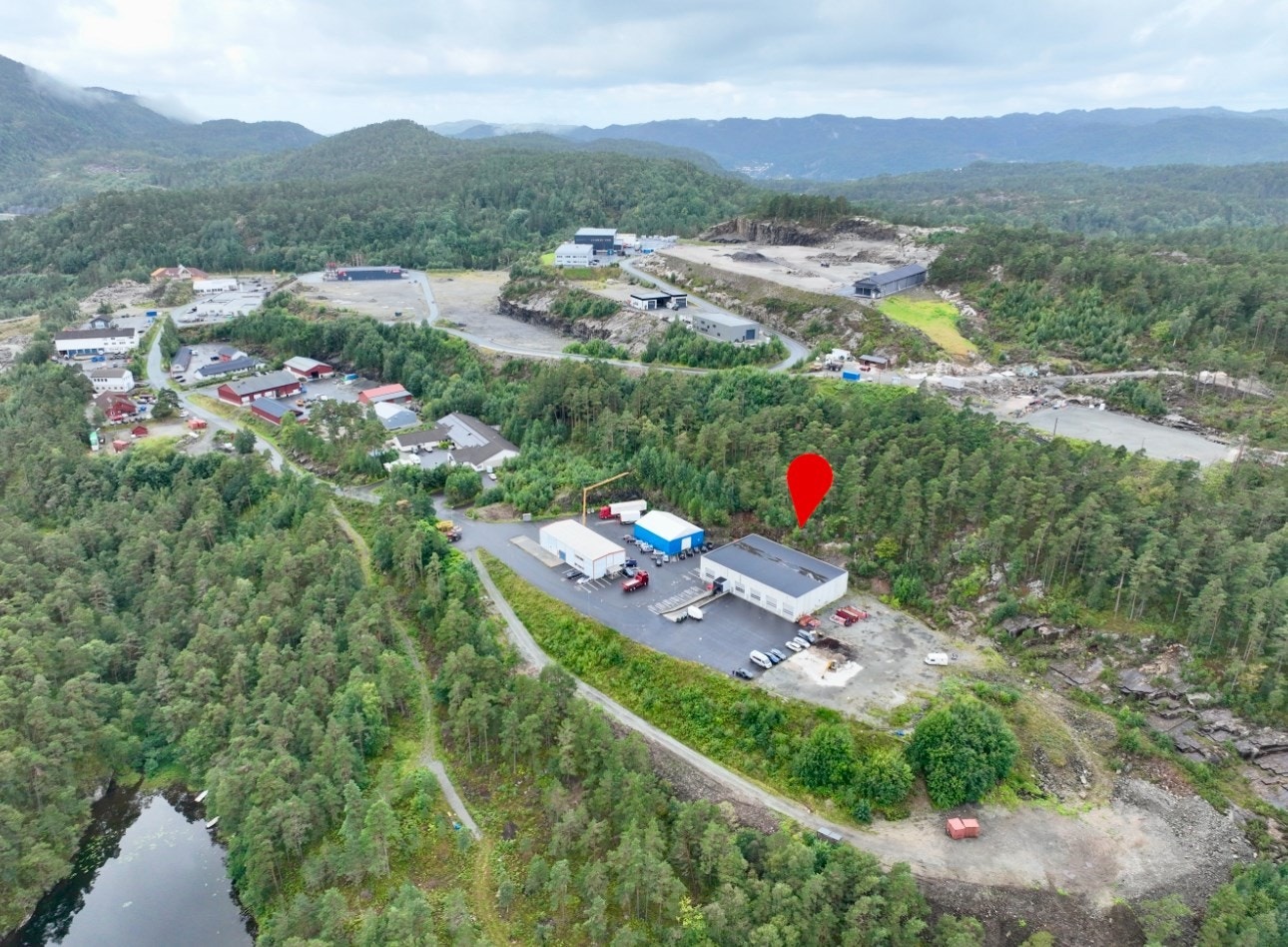 Trøngsla Galleribilde
