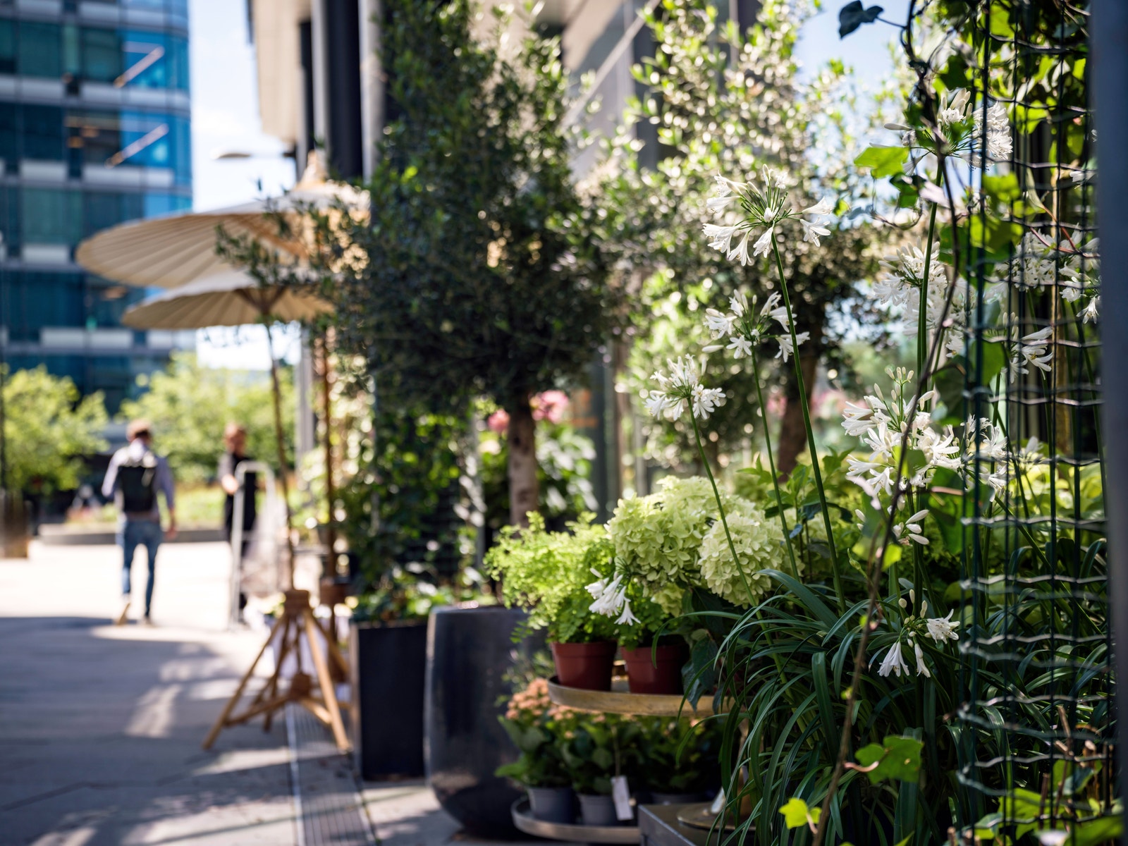 Nærområdet Galleribilde