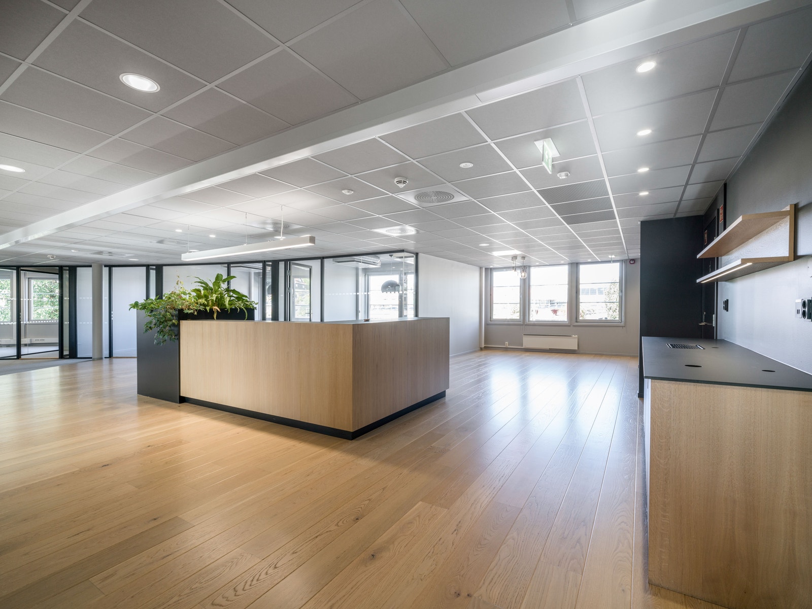 Resepsjon / sosial sone Galleribilde