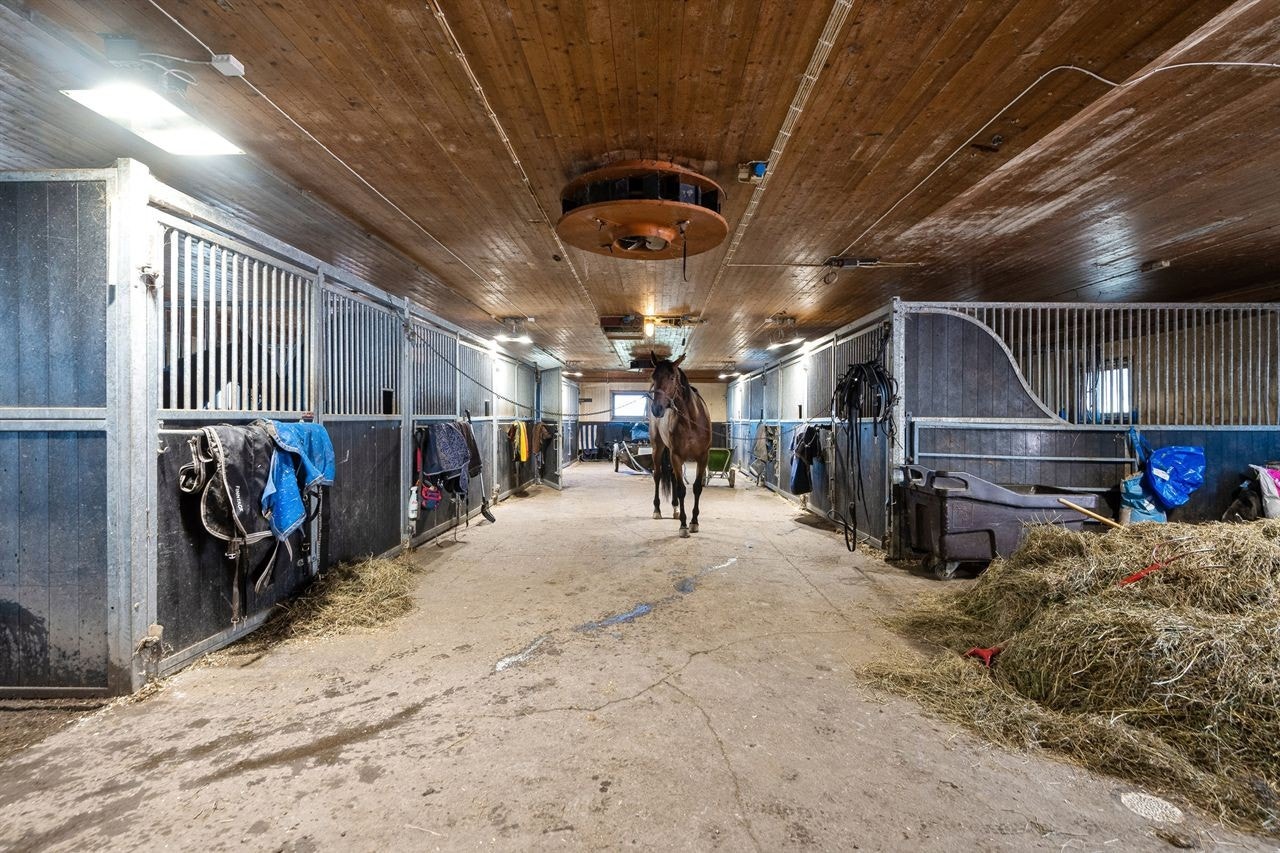 Stall Galleribilde