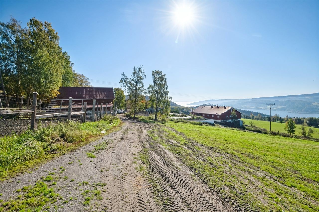 Tunet har to forskjellige innkjøringer til tunet, her fra nordre innkjøring Galleribilde