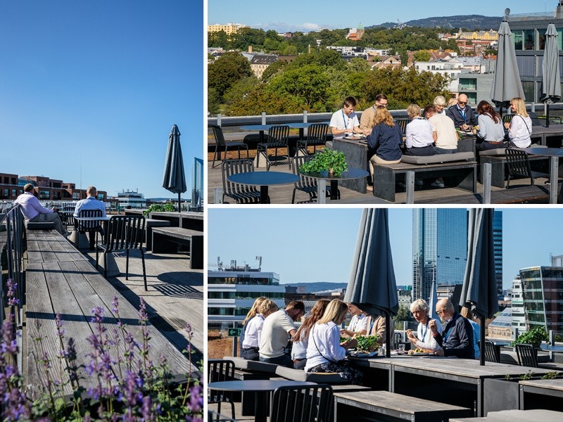 Stor felles takterrasse med utsikt og sittegrupper Galleribilde