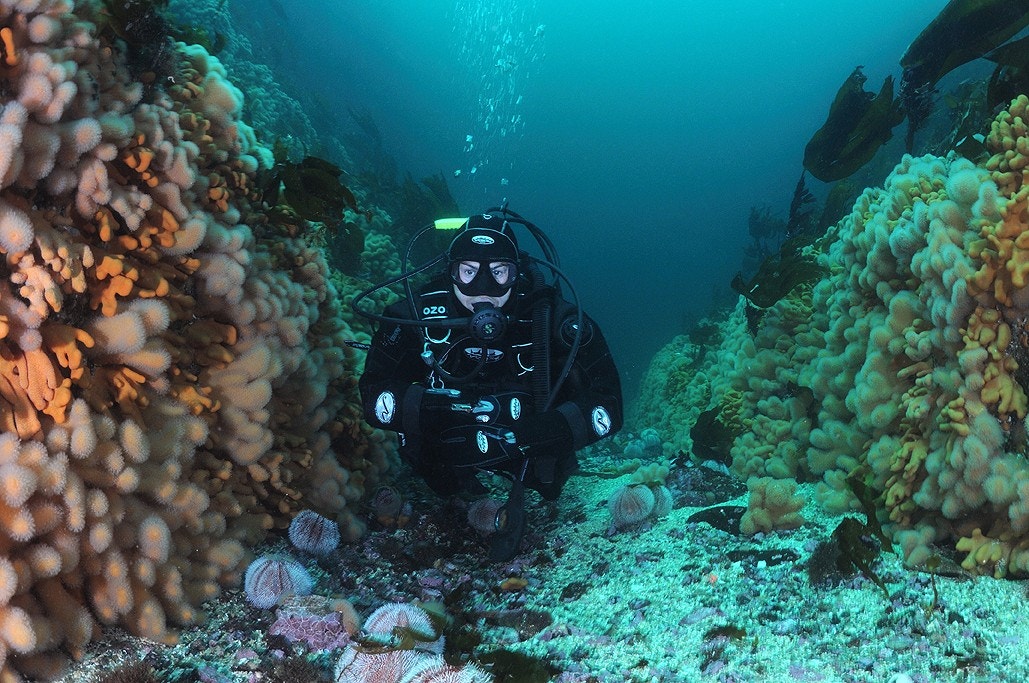 Vevangstrømmen Galleribilde