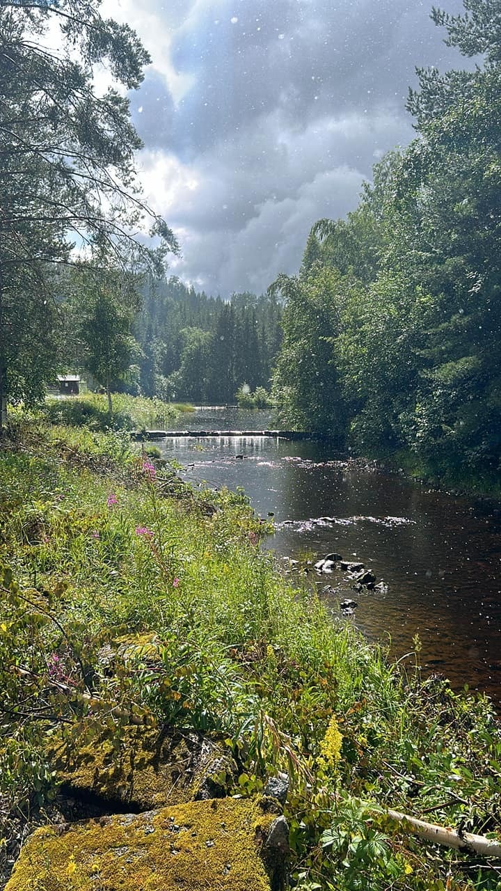 Idyllisk bekk langs grensen.jpg Galleribilde