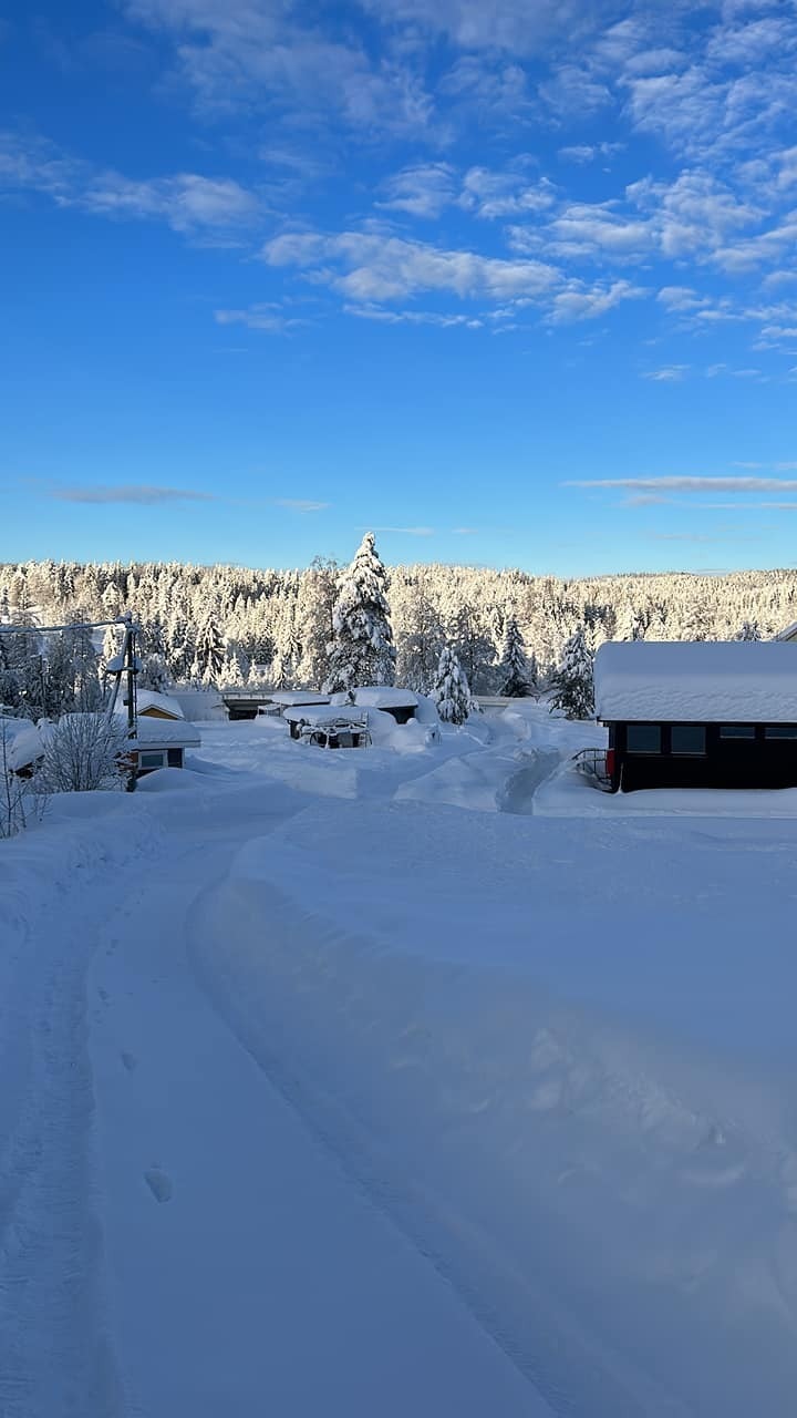 snøidyll.jpg Galleribilde