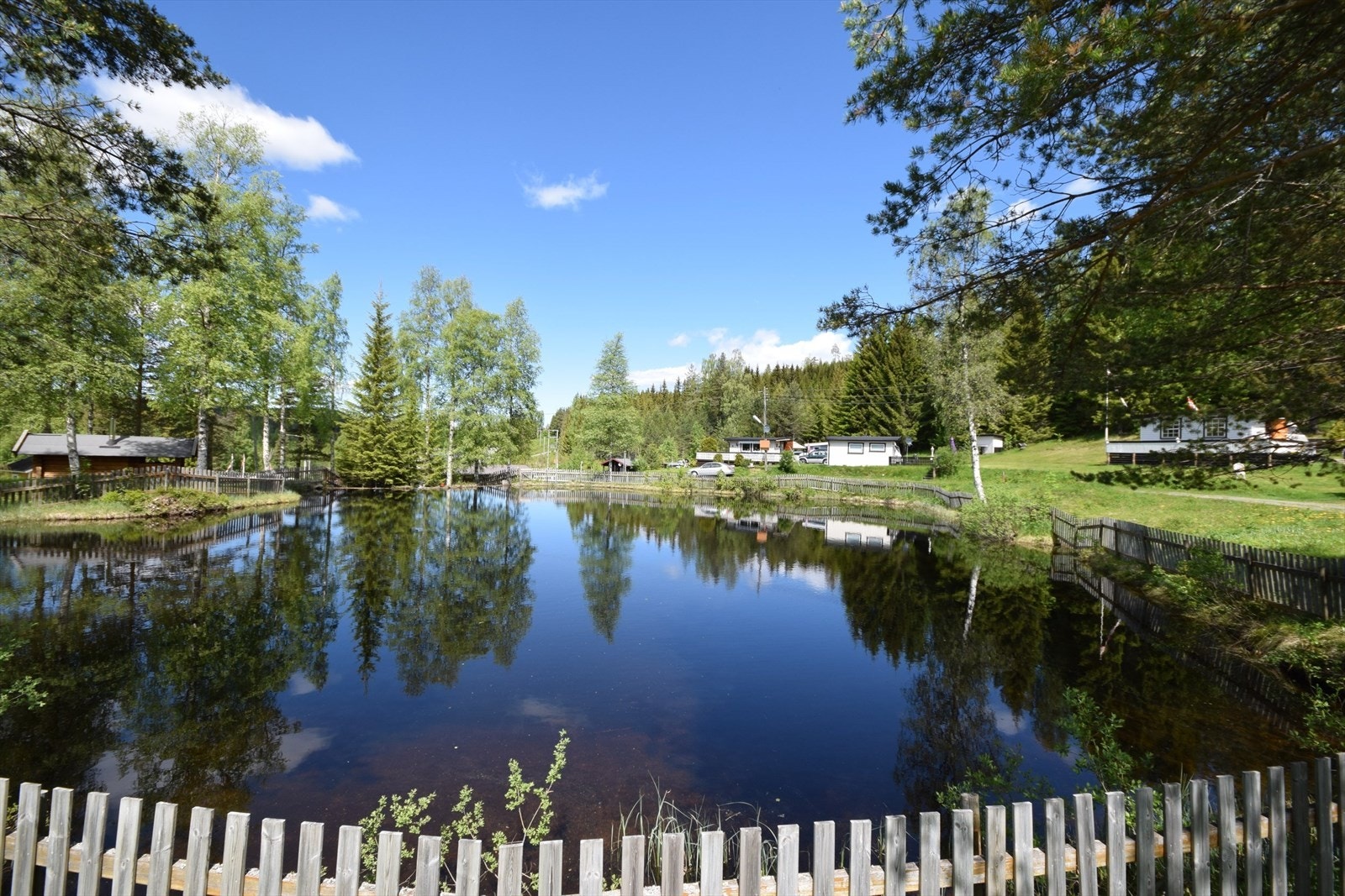flott dam på område.jpeg Galleribilde