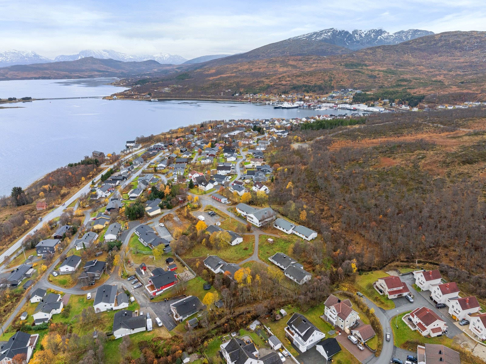 Området mot sør Galleribilde