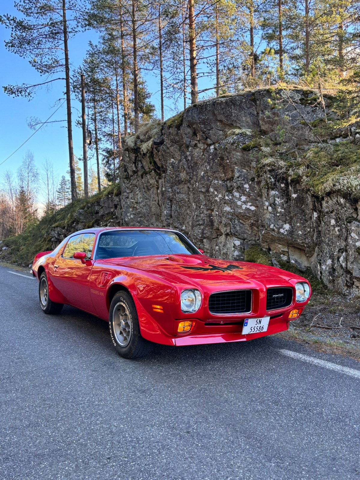 Brugt Pontiac Trans Am 