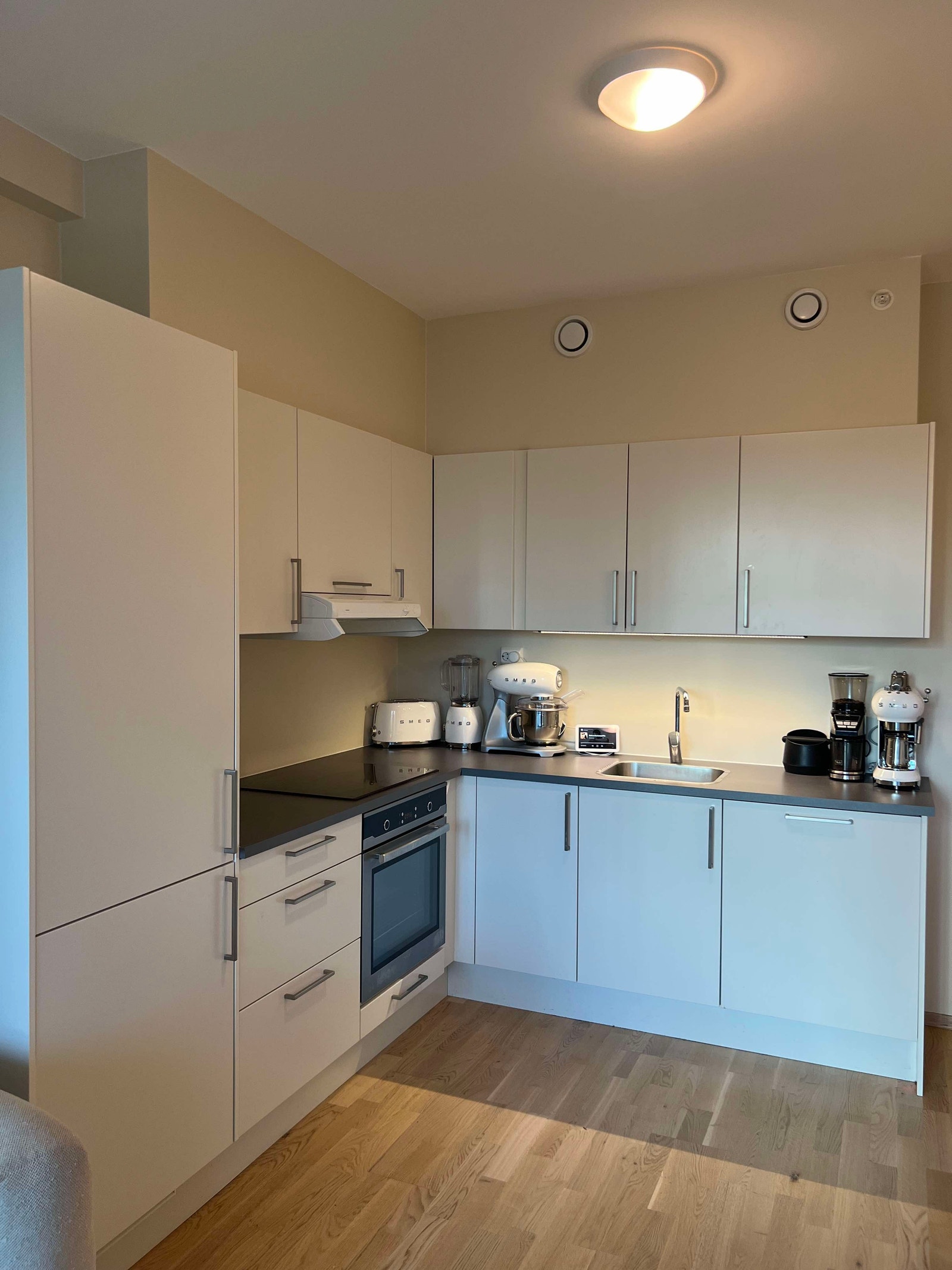 Praktisk kjøkken med kjøleskap, fryser, oppvaskmaskin, ovn stekeplater og oppbevaringsplass Galleribilde