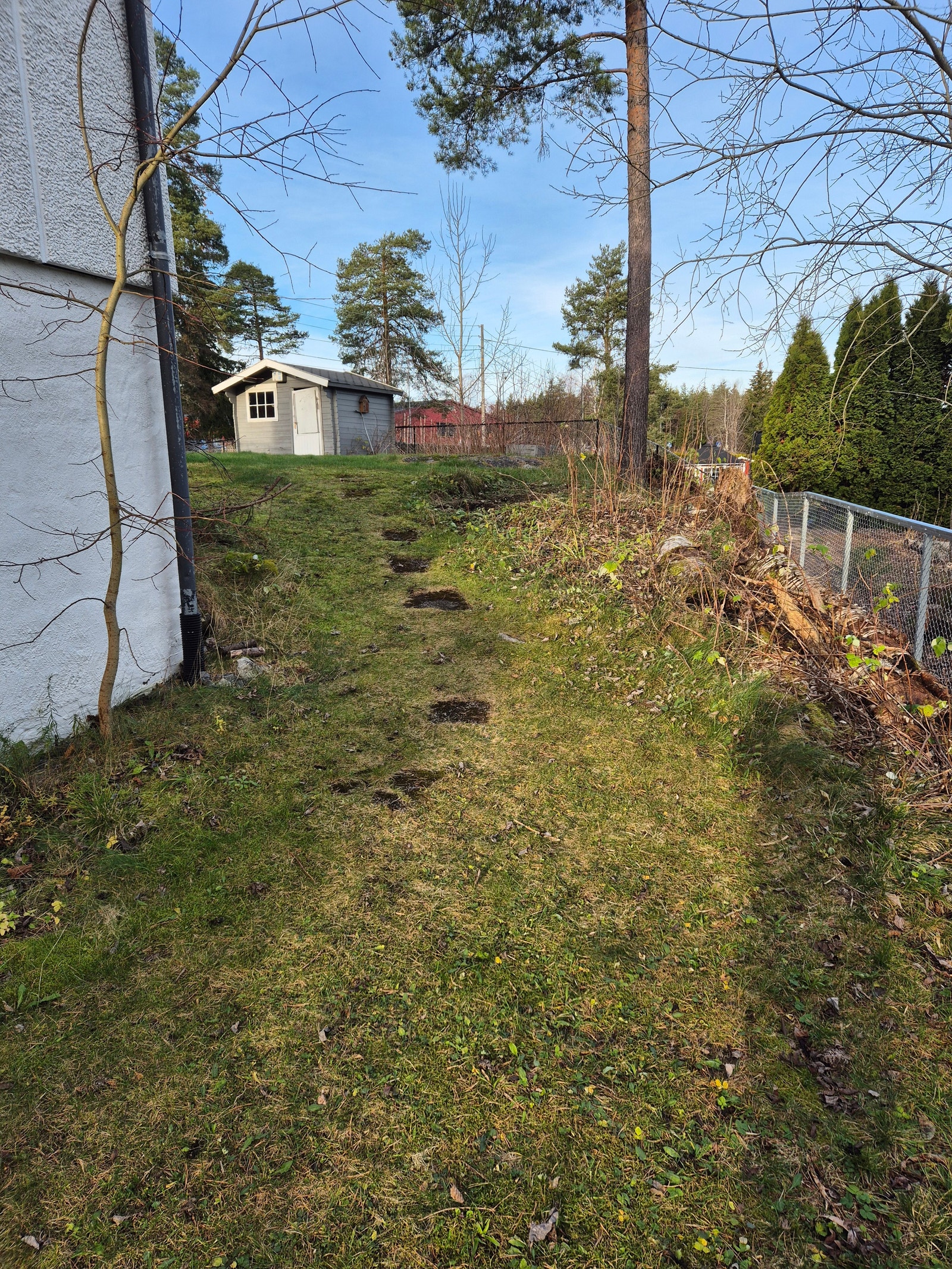 Hagedel Galleribilde