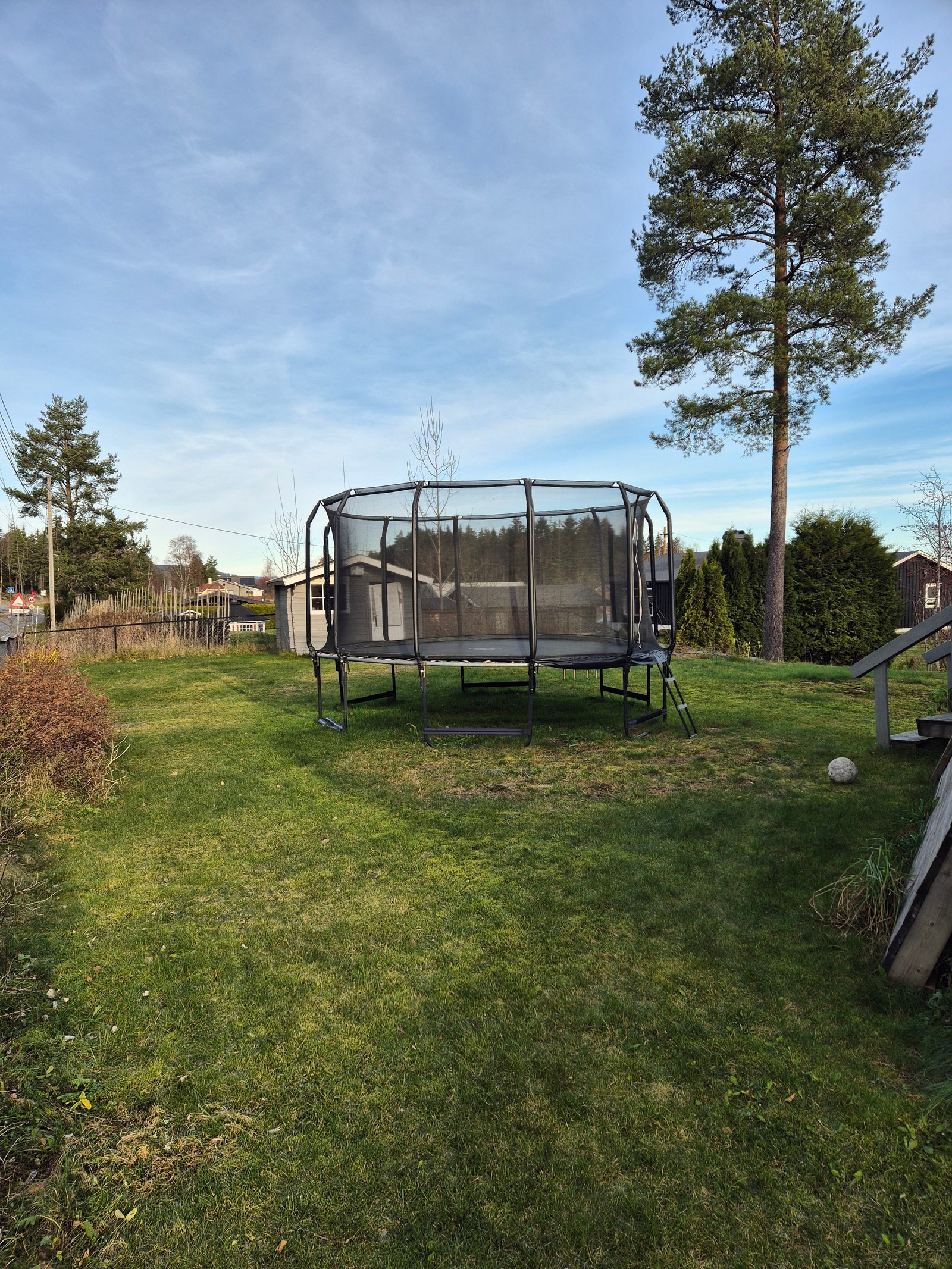 Hagedel Galleribilde