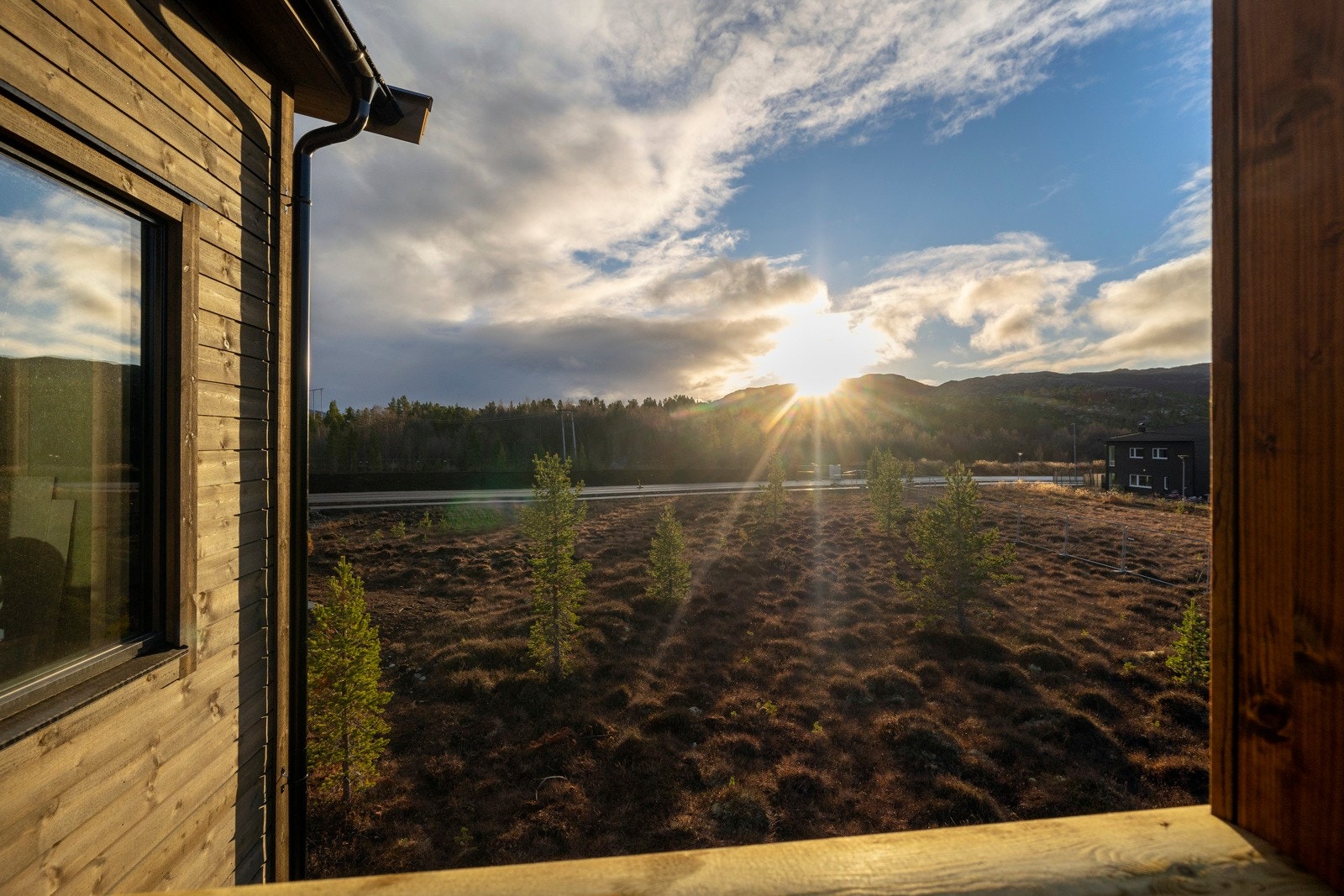 Flott naturutsikt fra leilighetene Galleribilde