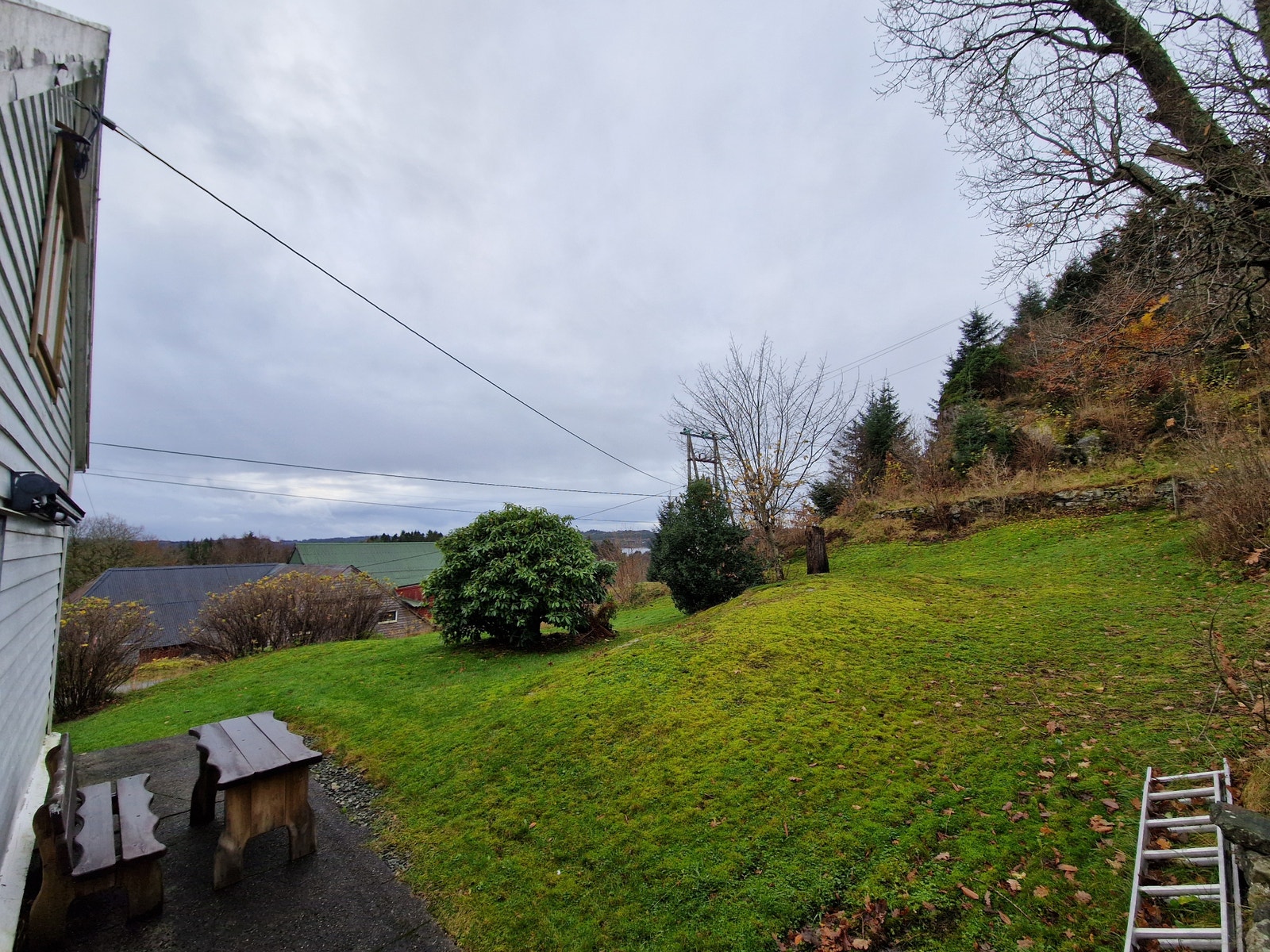 Stor hage Galleribilde