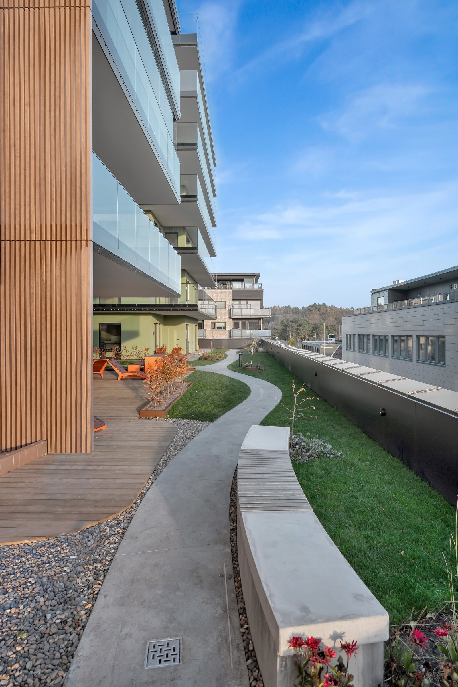 Hellelagt sti som bukter seg rundt i hagen Galleribilde