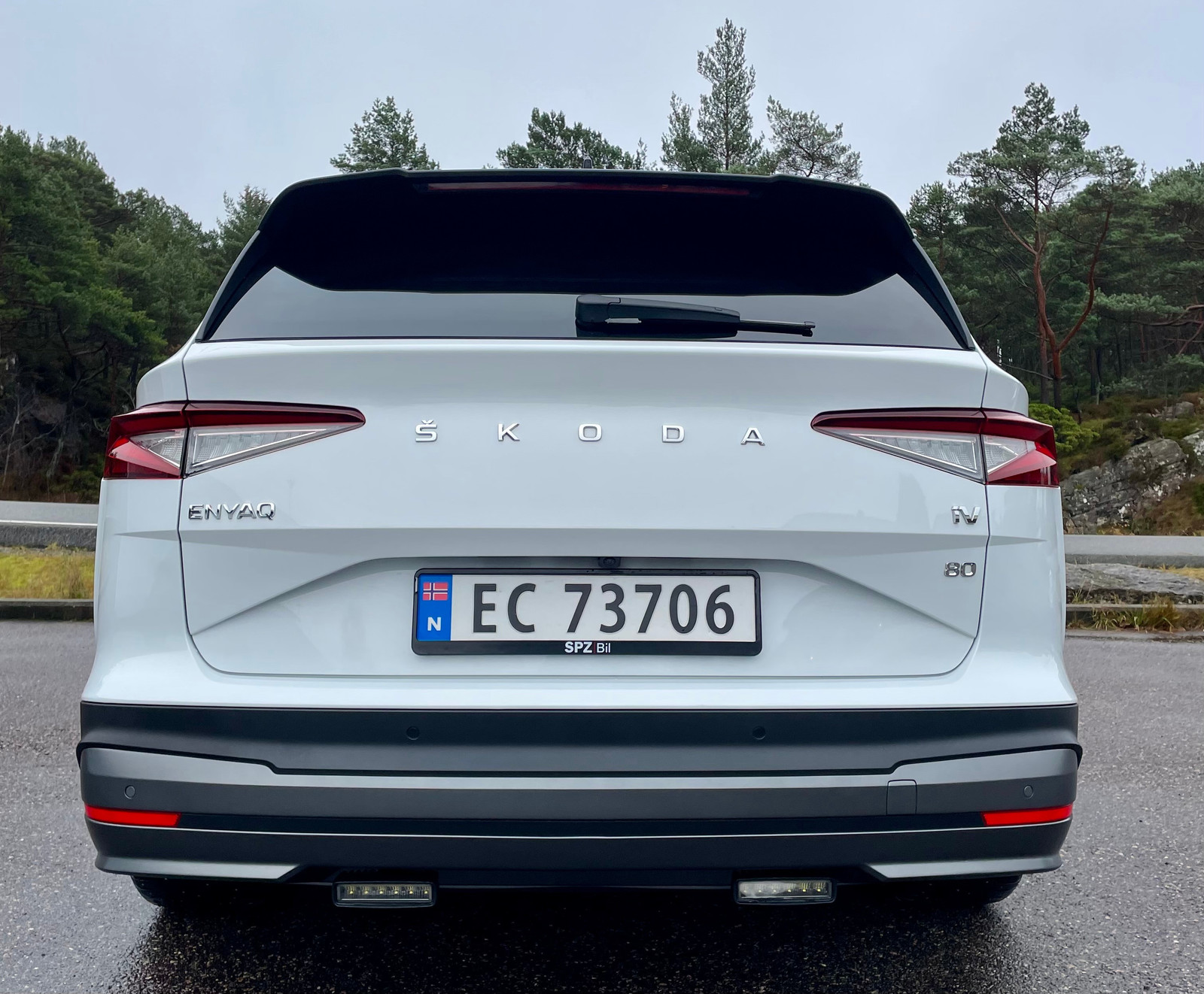 Skoda Enyaq iV80 3