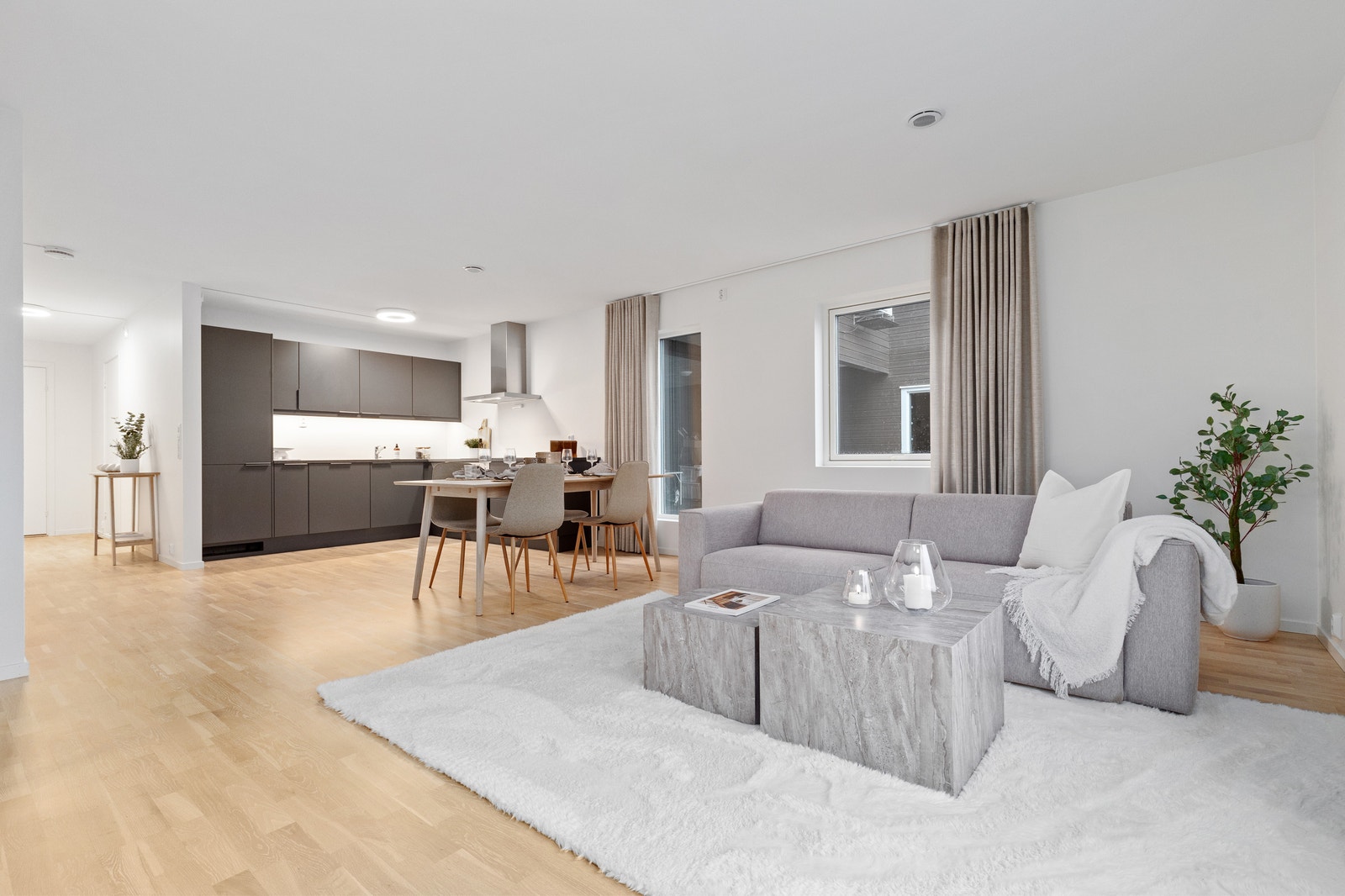 Romsleg og open stove- og kjøkkenløysing. Galleribilde