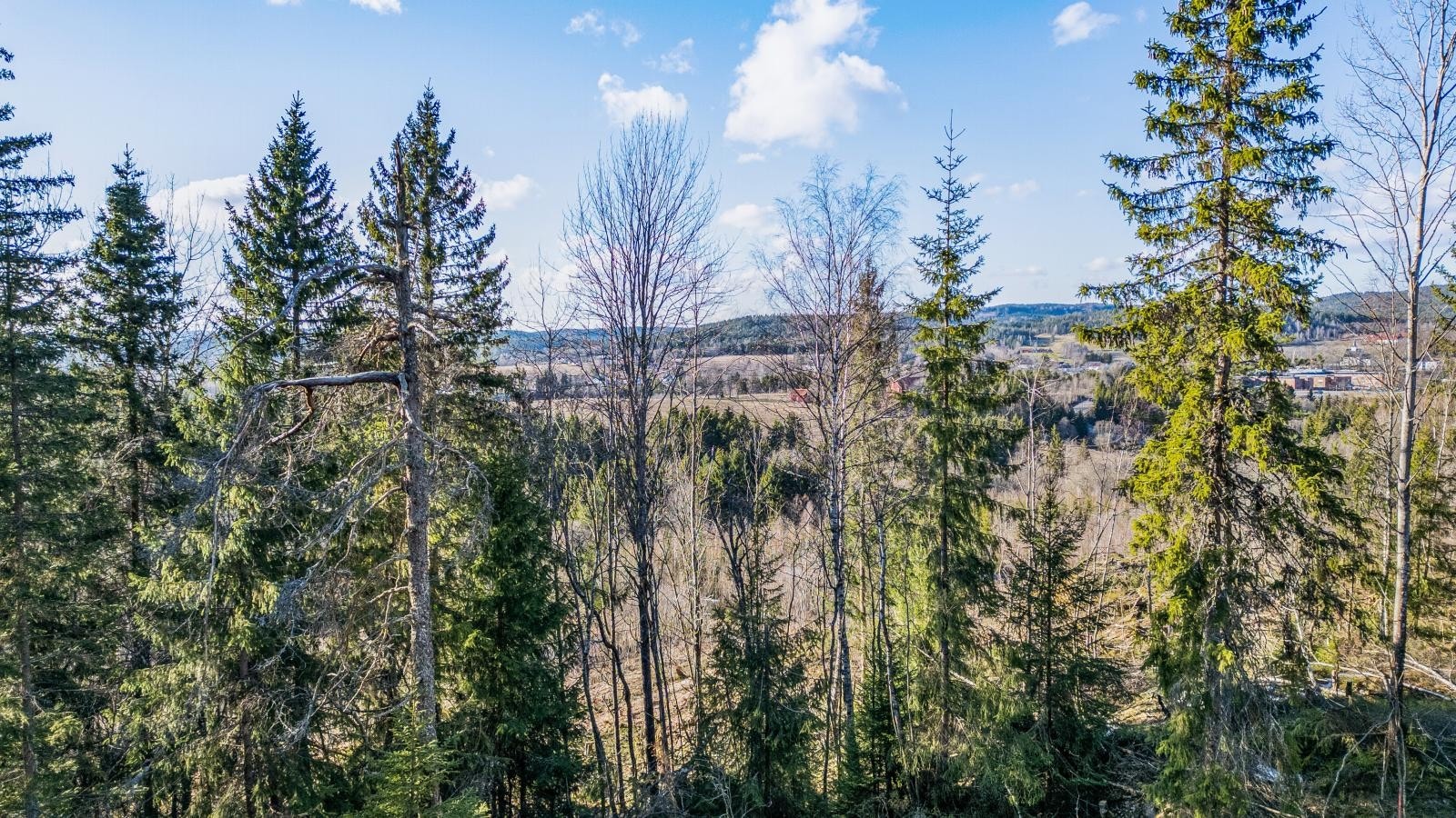 Foto av tomten, 4 meter over bakken. Galleribilde