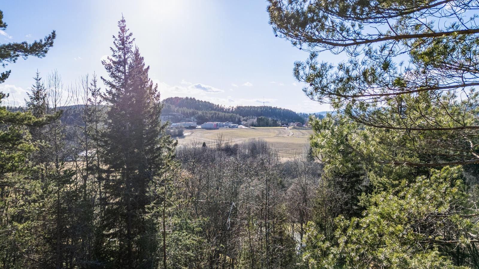 Foto av tomten, 4 meter over bakken. Galleribilde