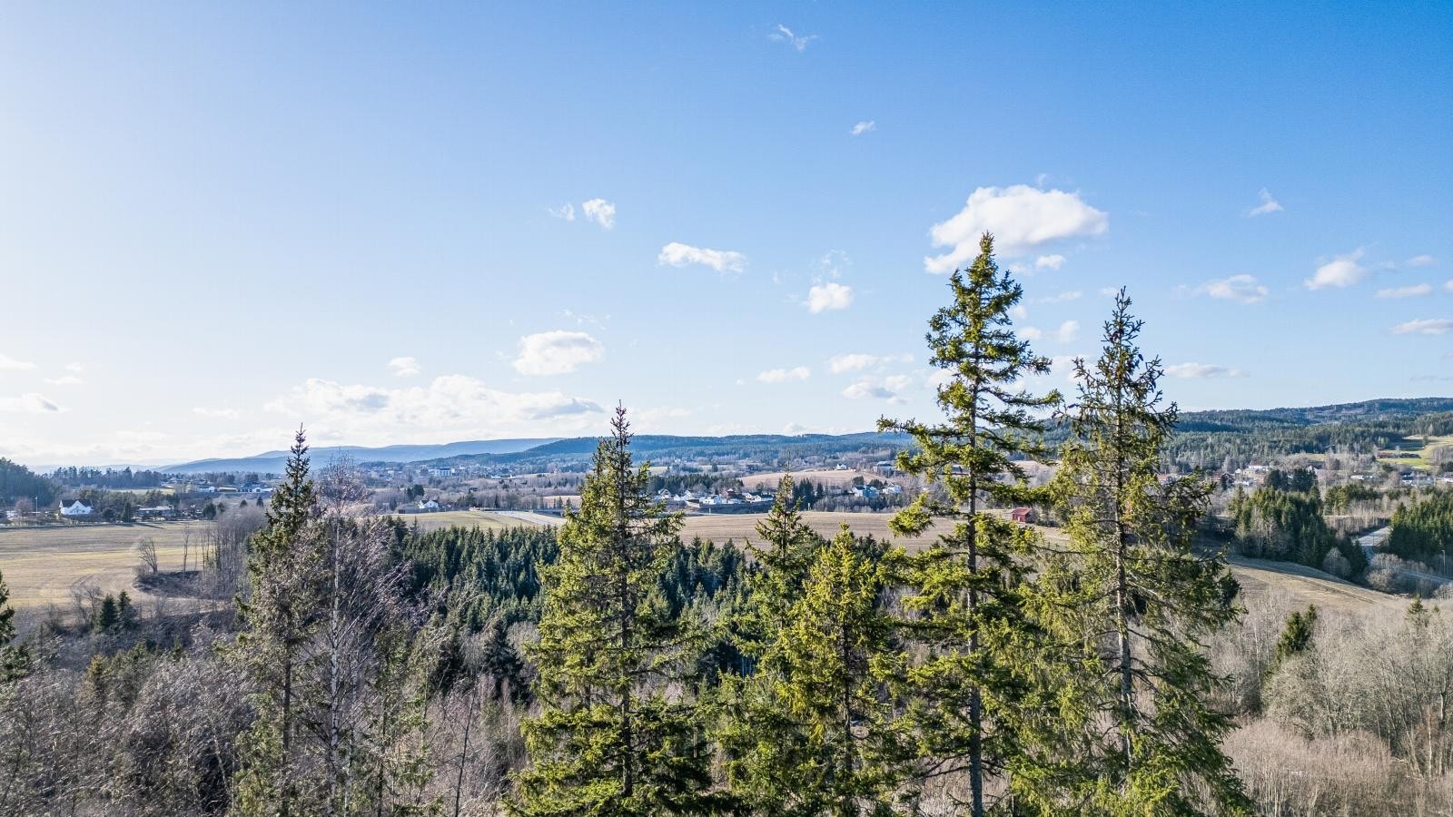 Foto av tomten, 4 meter over bakken. Galleribilde