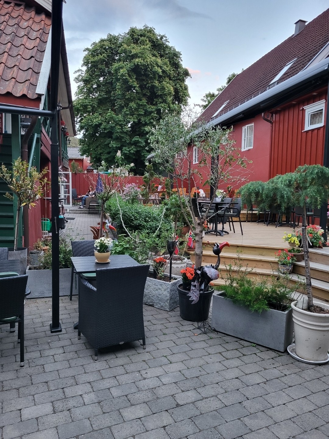 Ute i bakgården Galleribilde