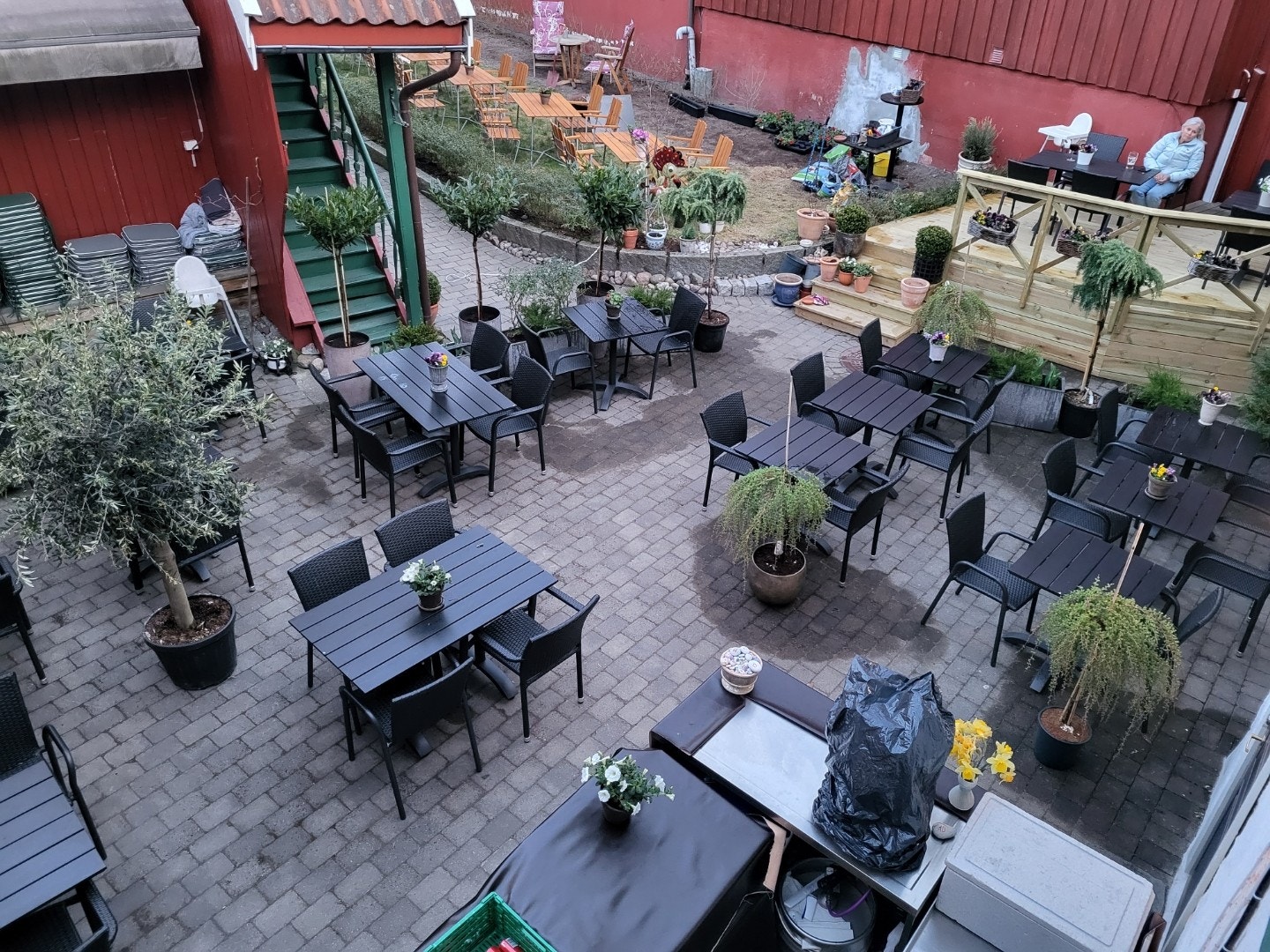 Ute i bakgården Galleribilde