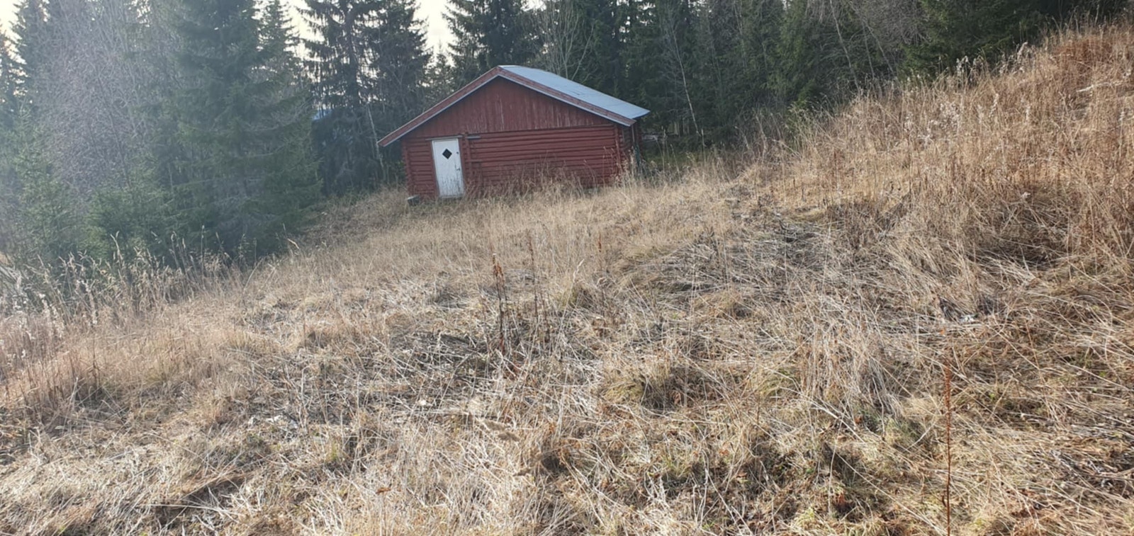 Tømra fjøs på støpt plate Galleribilde