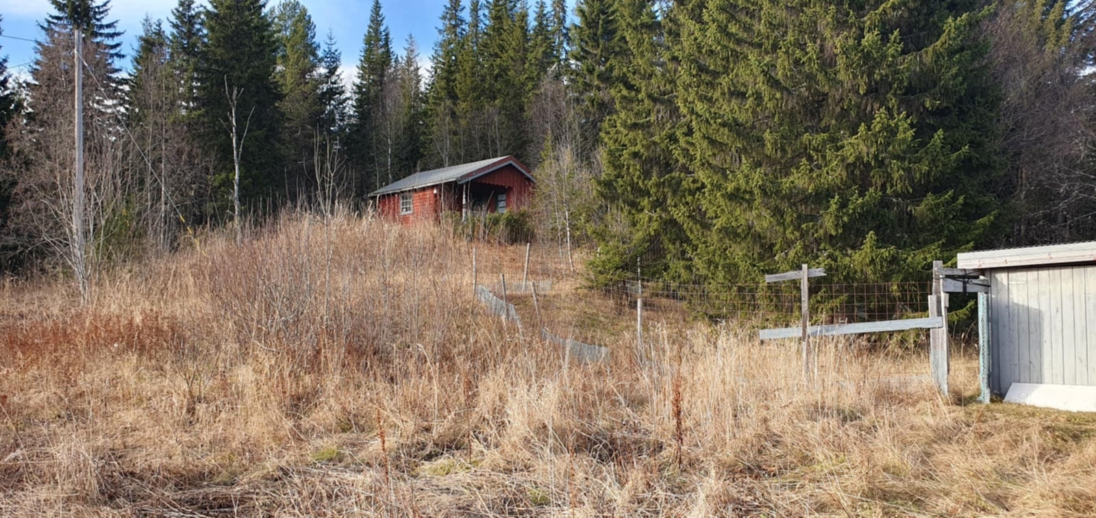 Tømmerhytte Galleribilde