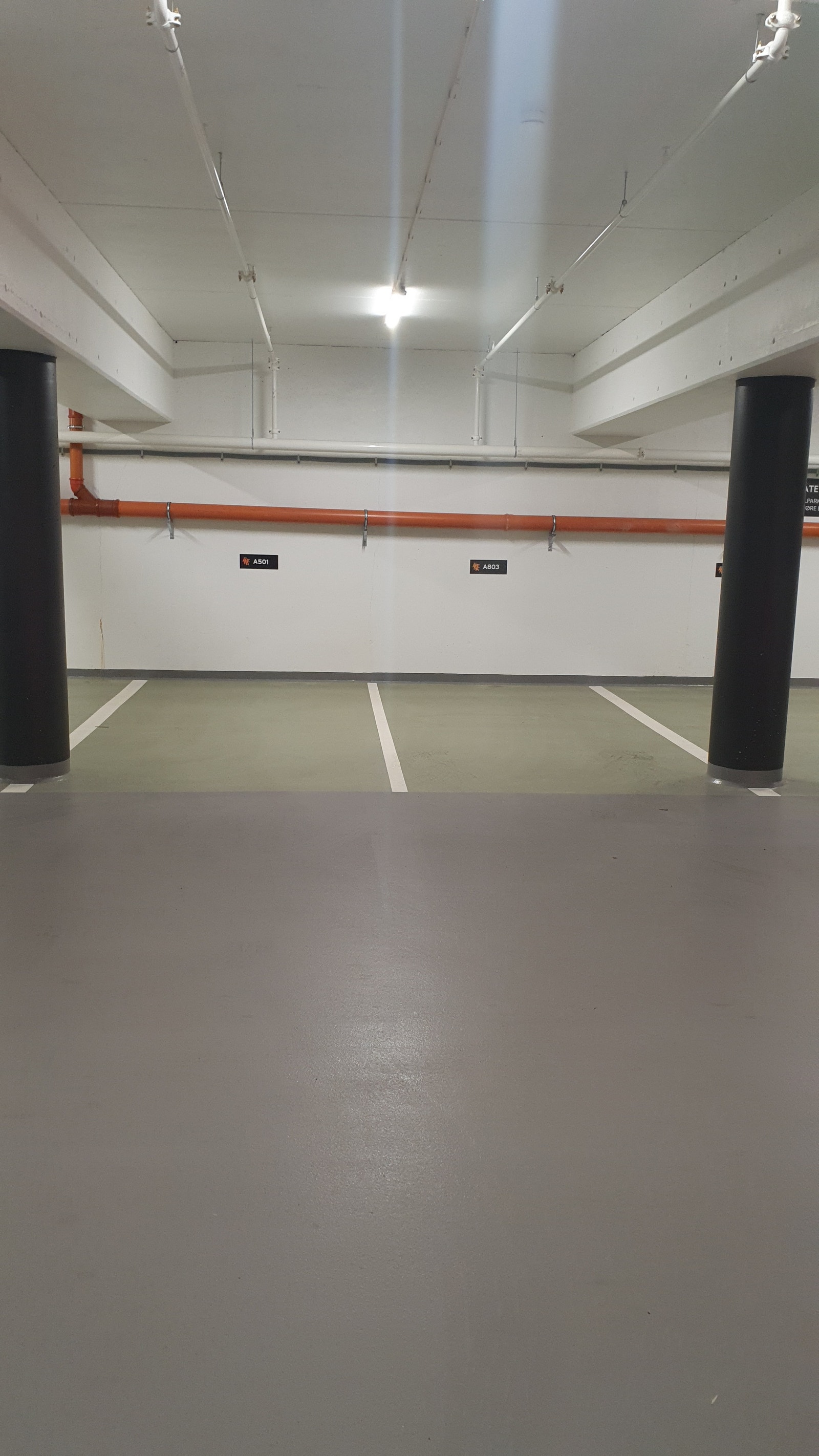 Parkeringsplass 231 til venstre i bildet. Galleribilde