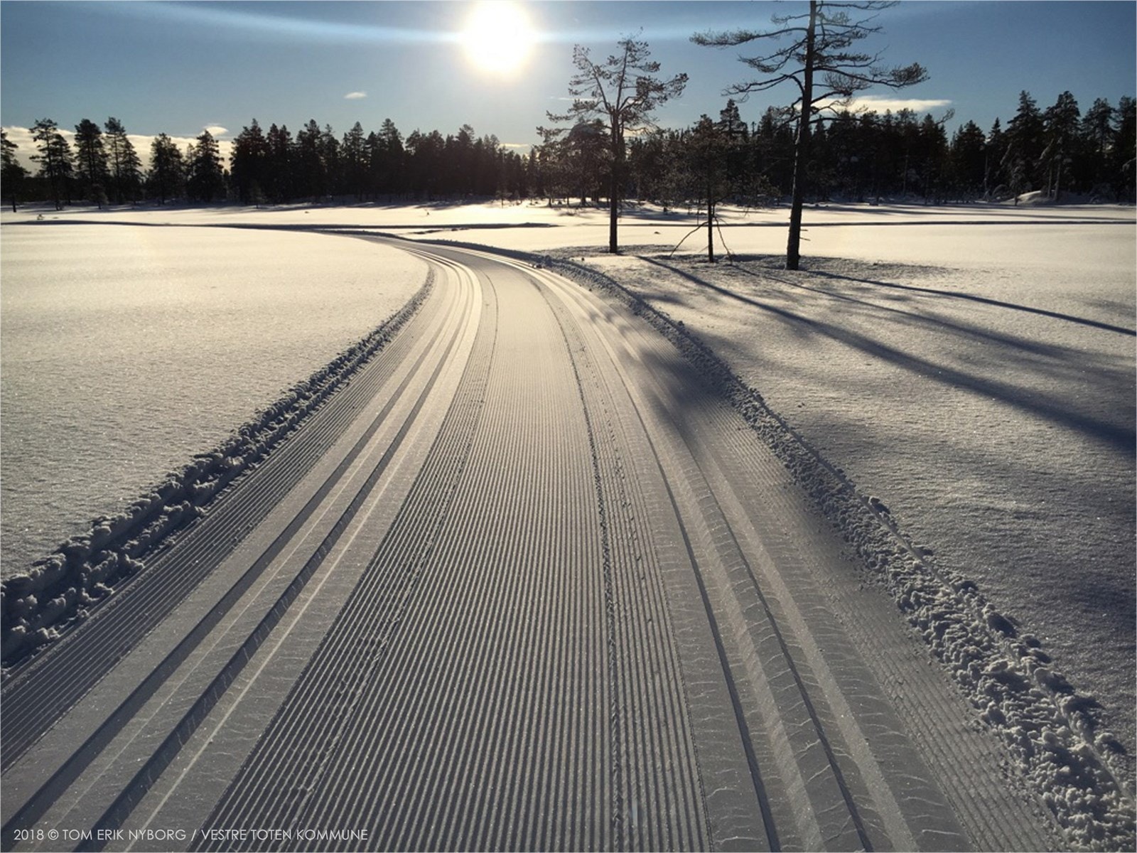 Trikkeskinner i Vardalsåsen. Foto: Vestre Toten kommune / Tom Erik Nyborg Galleribilde