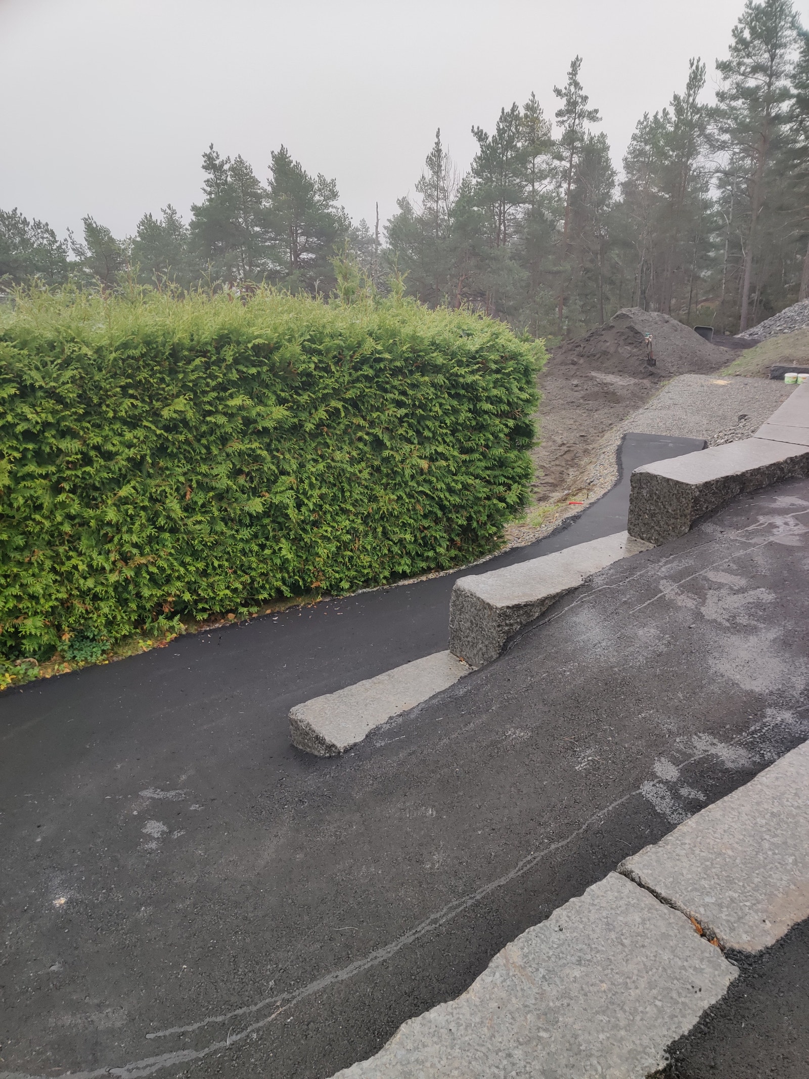 Adkomst Galleribilde