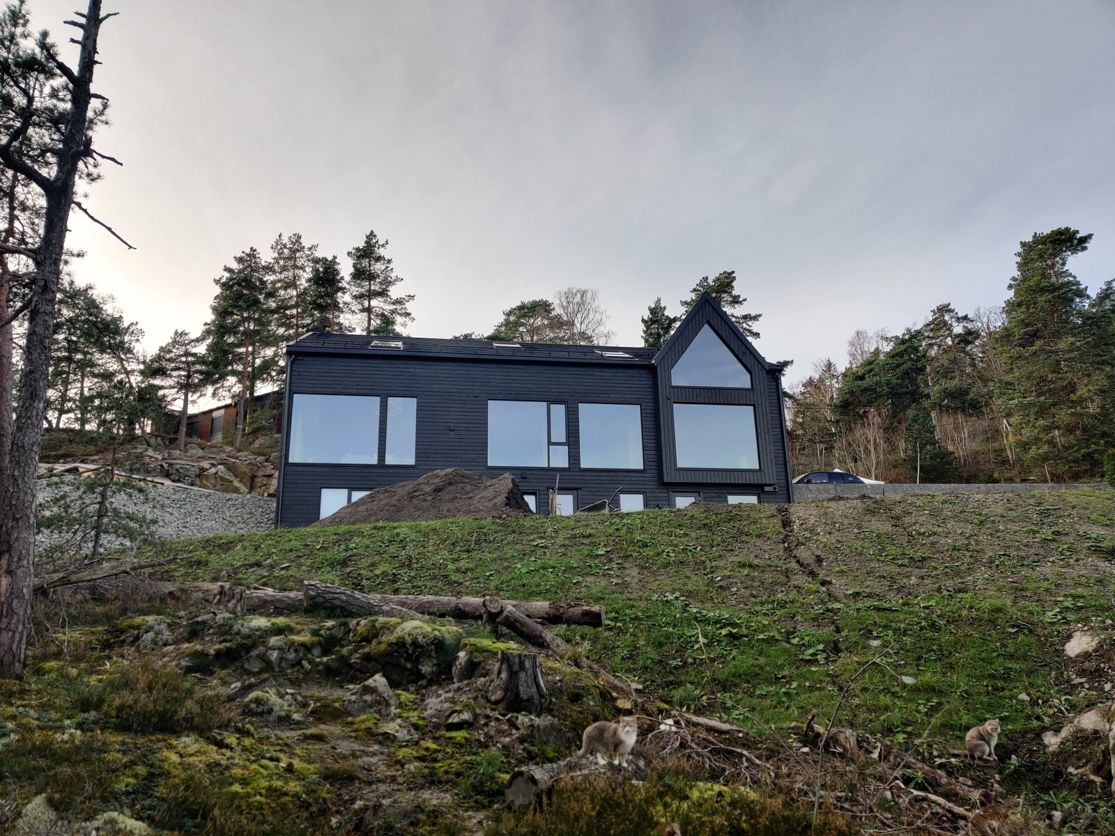 Huset sett fra kyststien Galleribilde