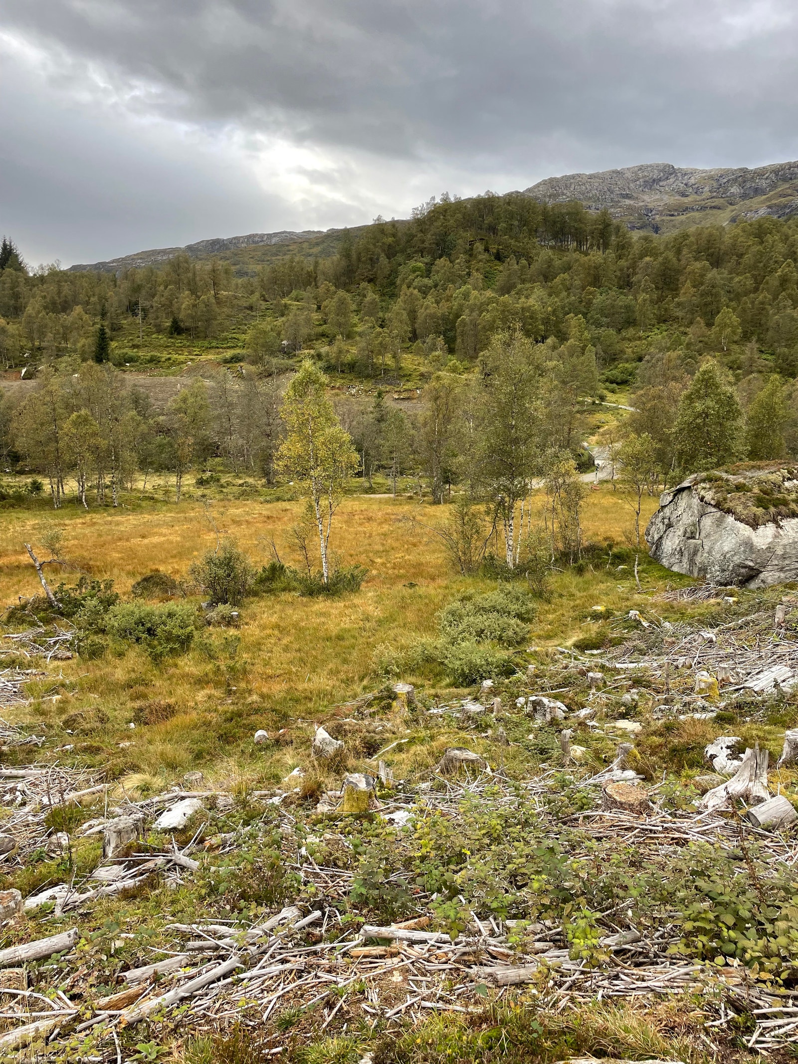 Mot Parkeringsplass Galleribilde