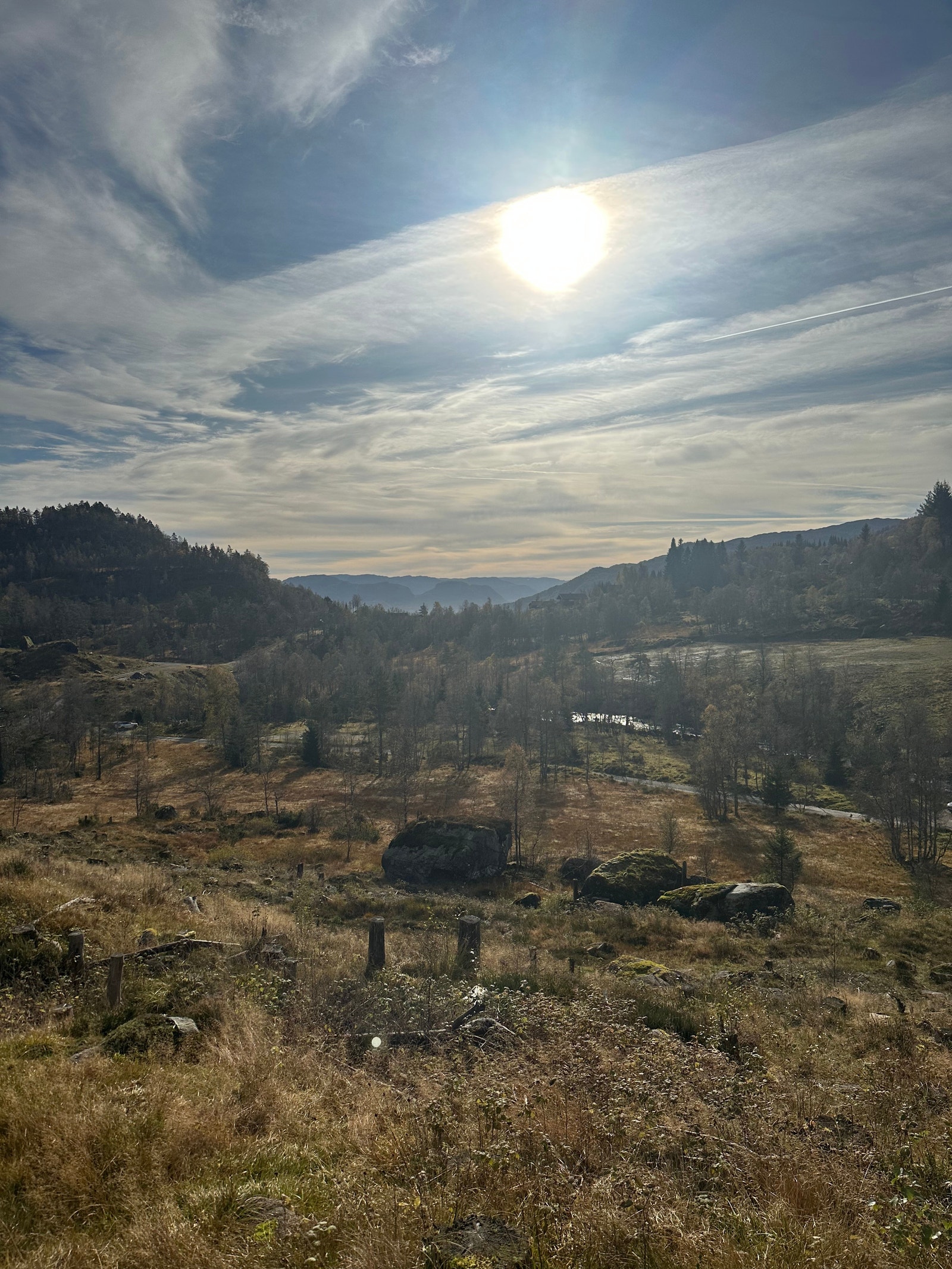 Mot Fjorden Galleribilde