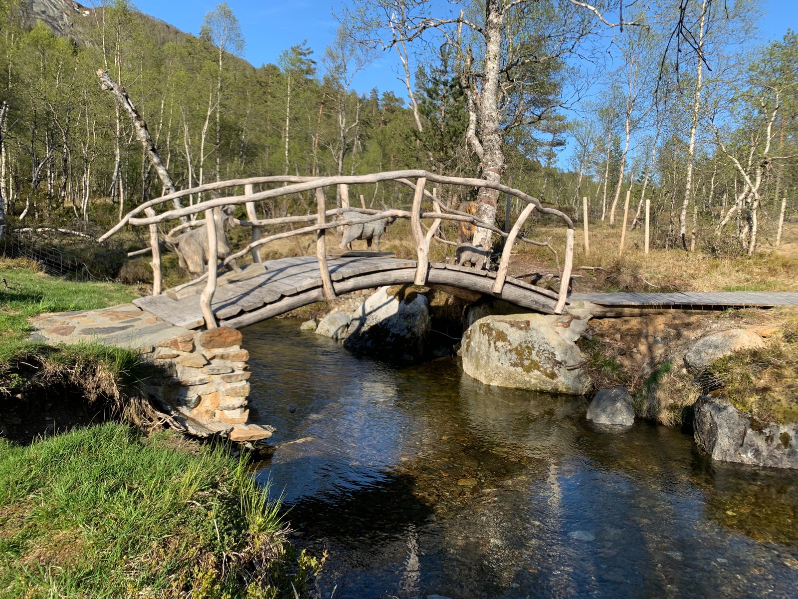 Trollplassen Galleribilde