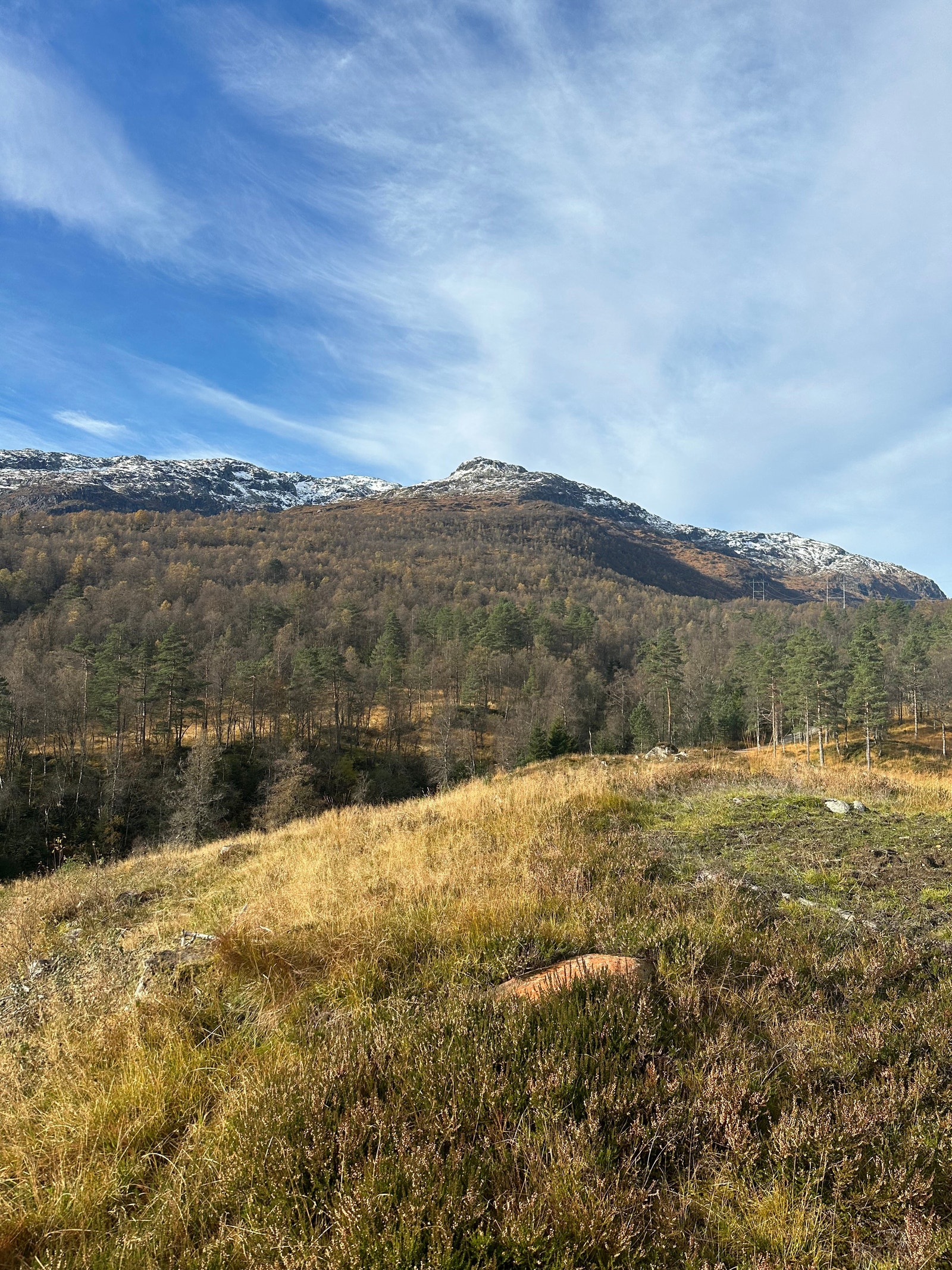 Mot Hovlandsnnuten Galleribilde