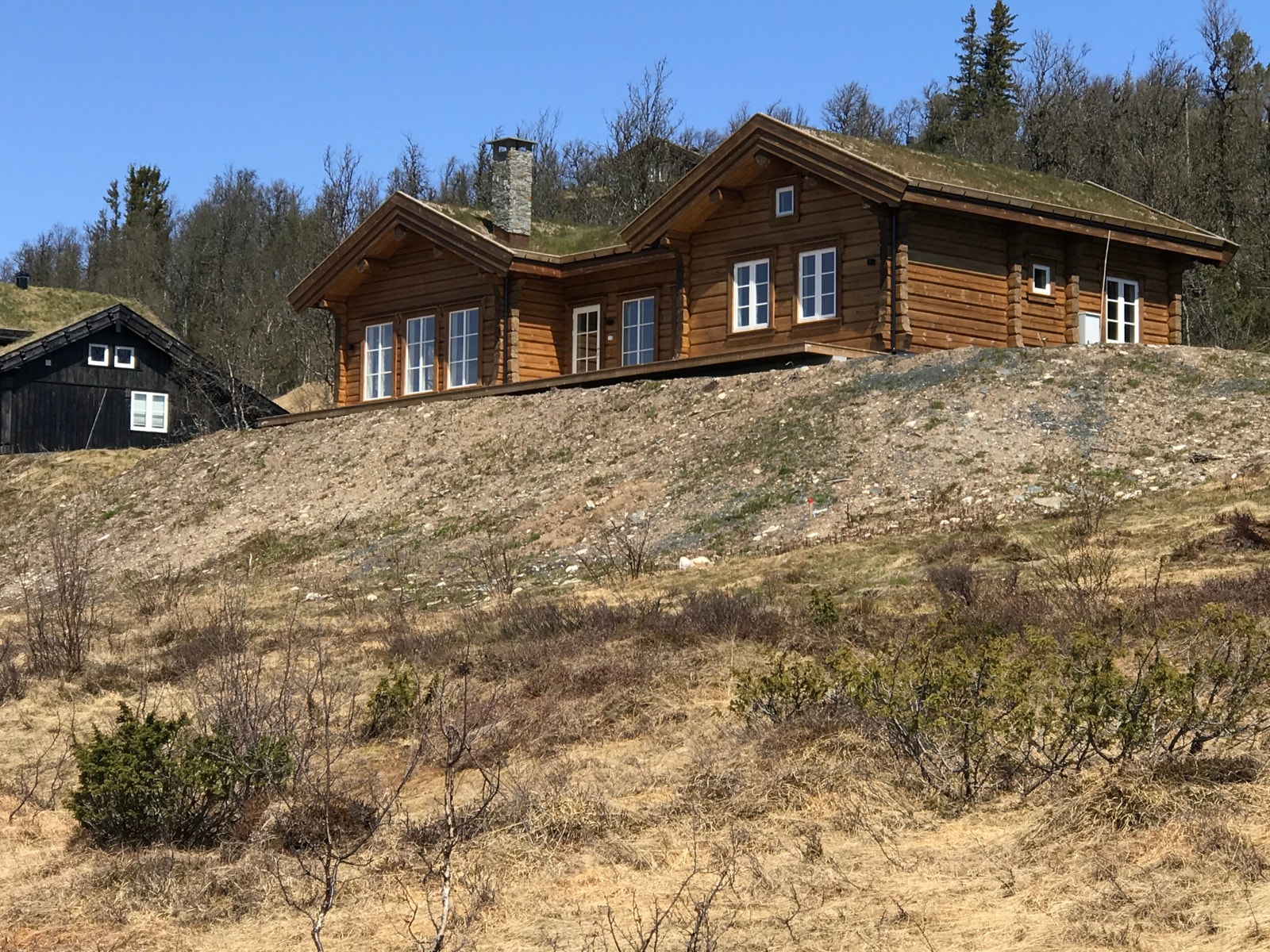 Falkeriset sommar. Galleribilde