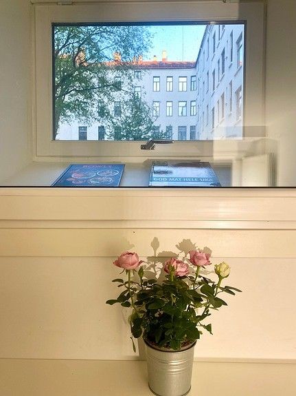 Kjøkkenvinduet slipper inn mye dagslys og har utsikt til den hyggelige bakgården - hvor det også er mulig å låne grillen. Galleribilde