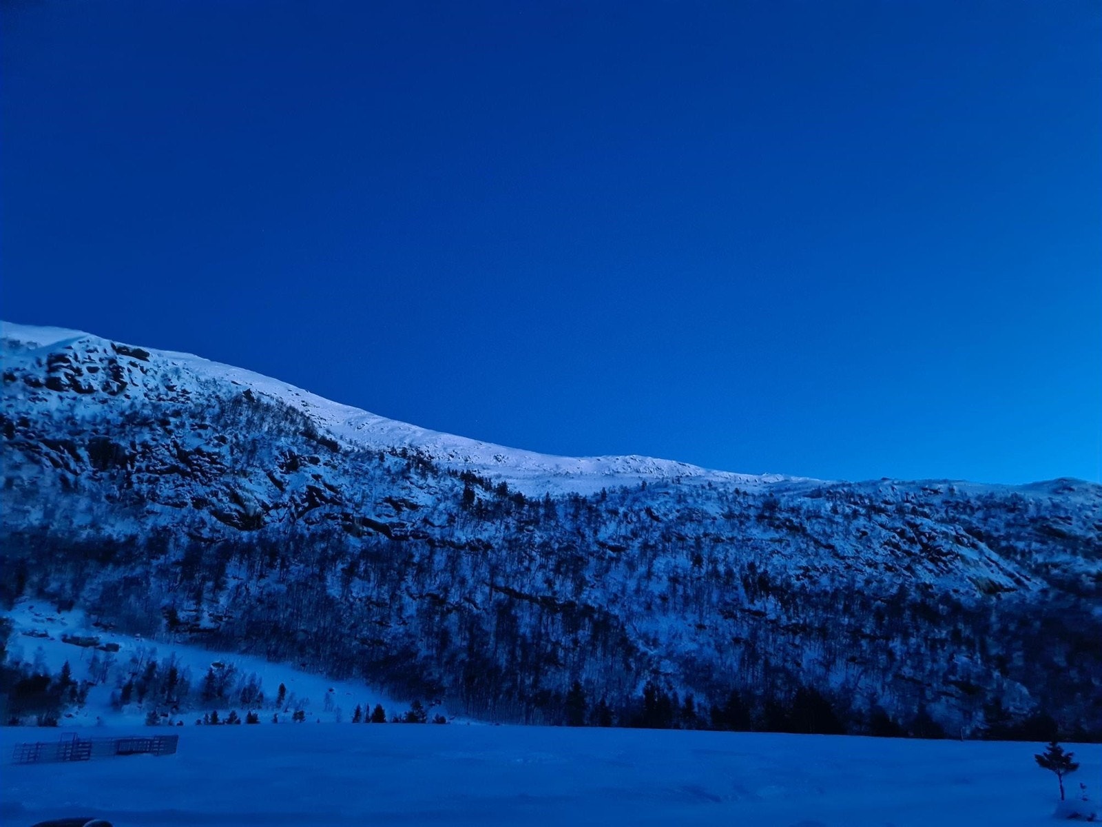 Utsikt fra hytta Galleribilde