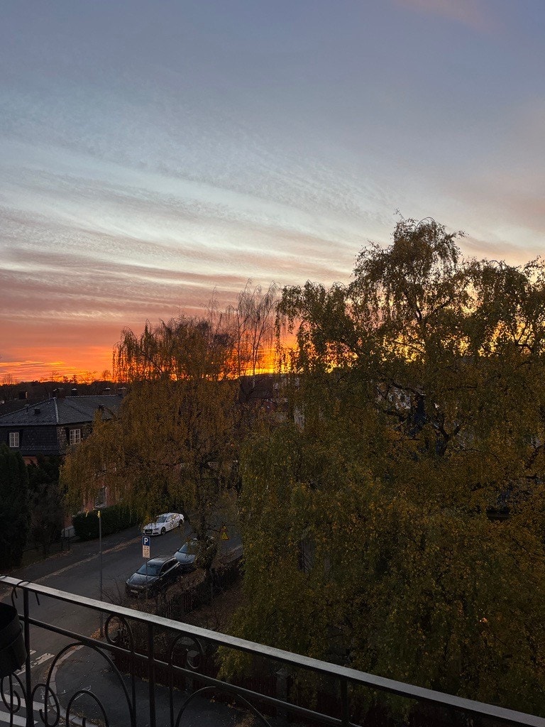 Utsikt fra stue Galleribilde