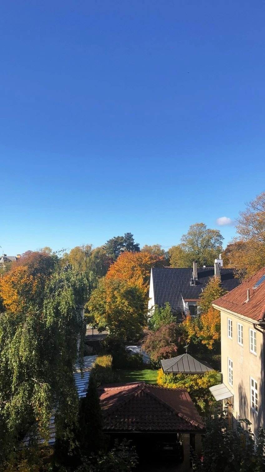 Utsikt fra stue Galleribilde