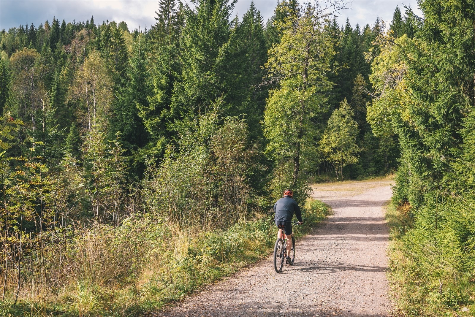 Fine tur- og sykkelstier i kort avstand fra boligene i Rotneshagen. Galleribilde