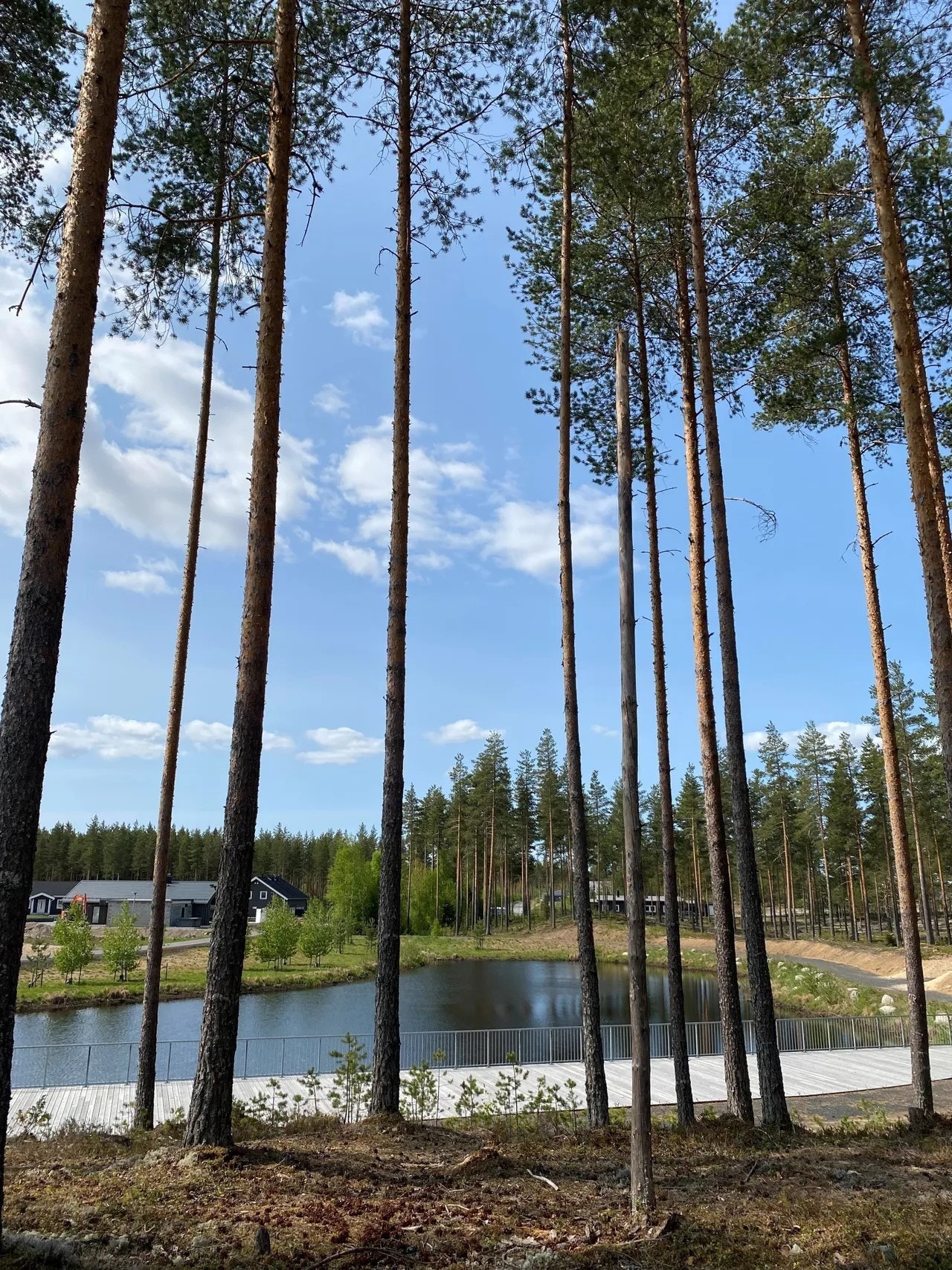 Utsikt over vannet Galleribilde