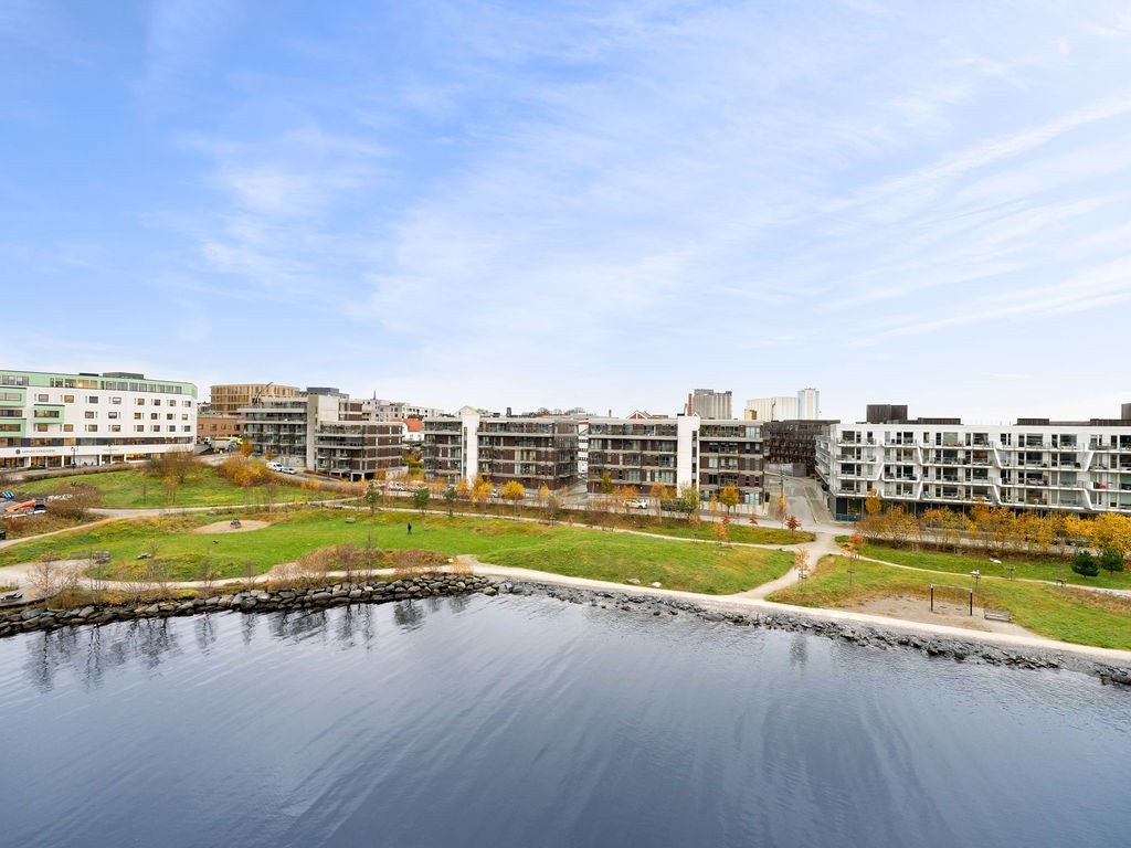 B2501(1) Galleribilde