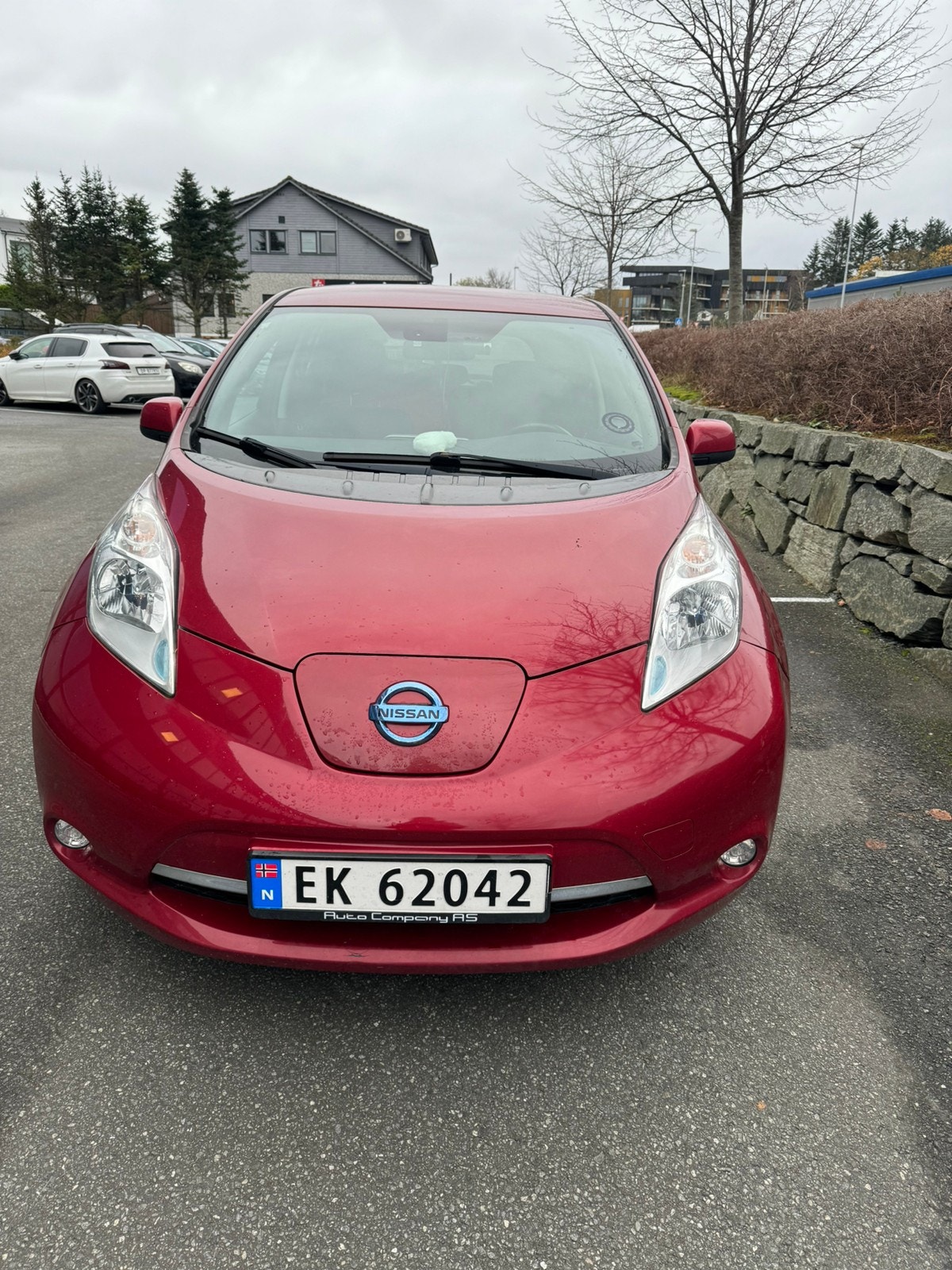 Brukt Nissan Leaf 