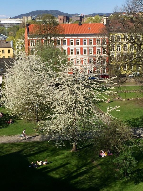 utsikt, balkong Galleribilde