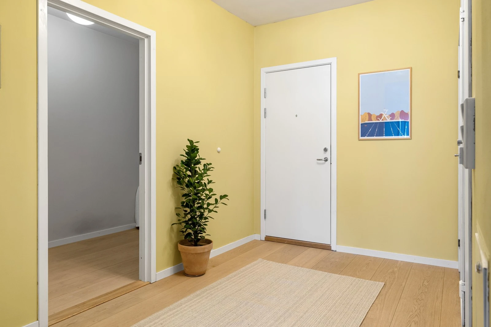 Lys og romslig gang. Galleribilde