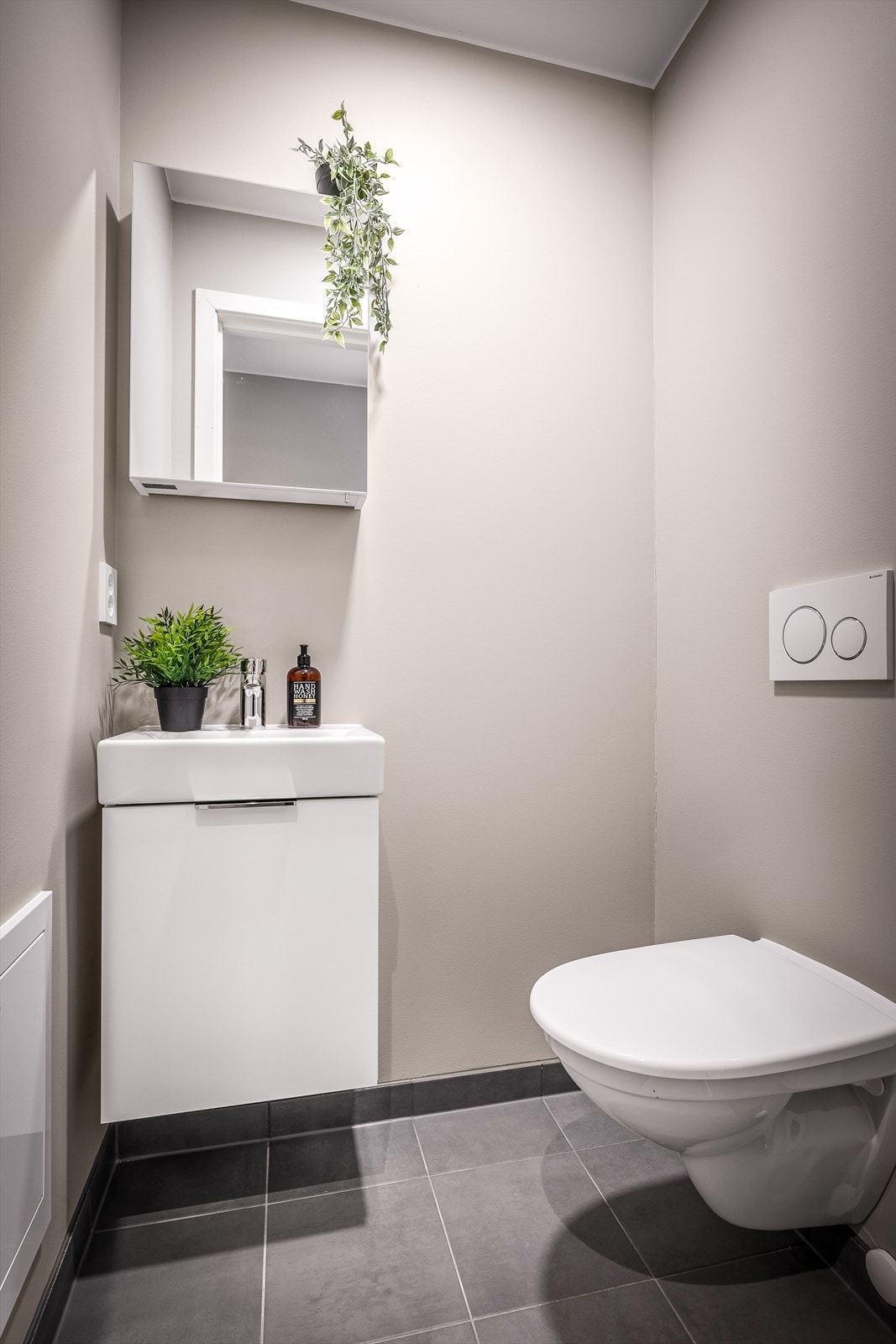 Gjestetoalett. Galleribilde